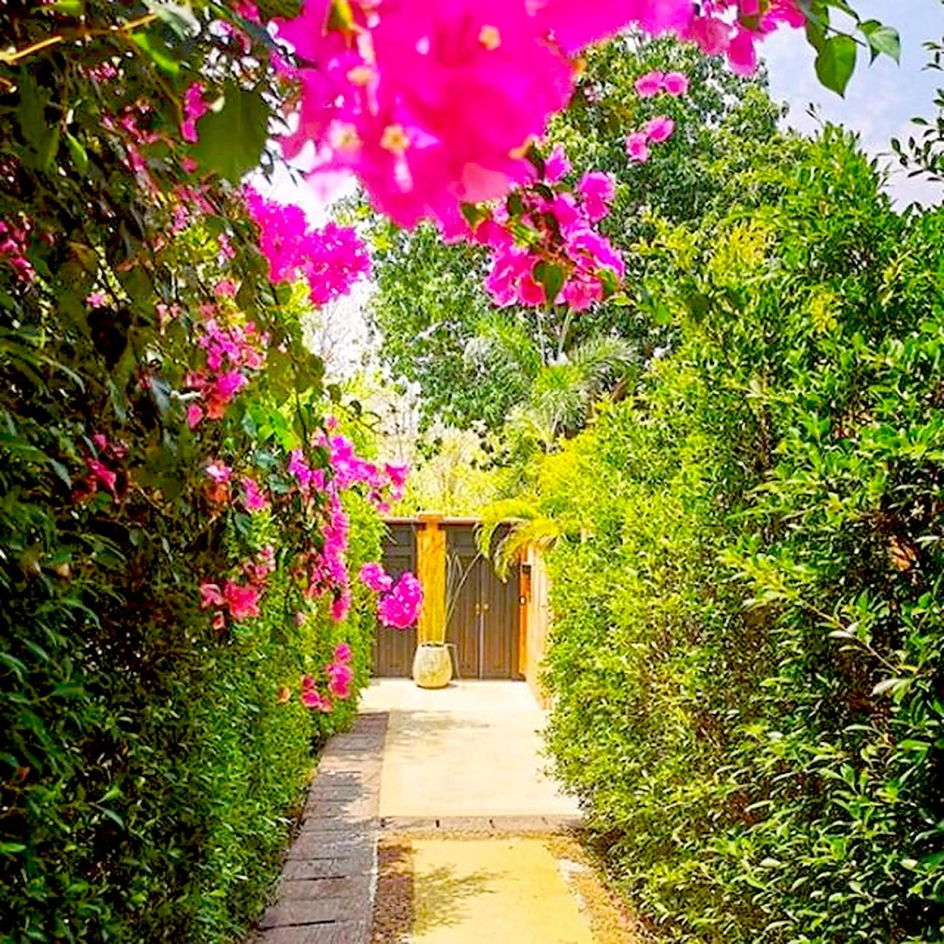 Garden in Alanta Pool Villa