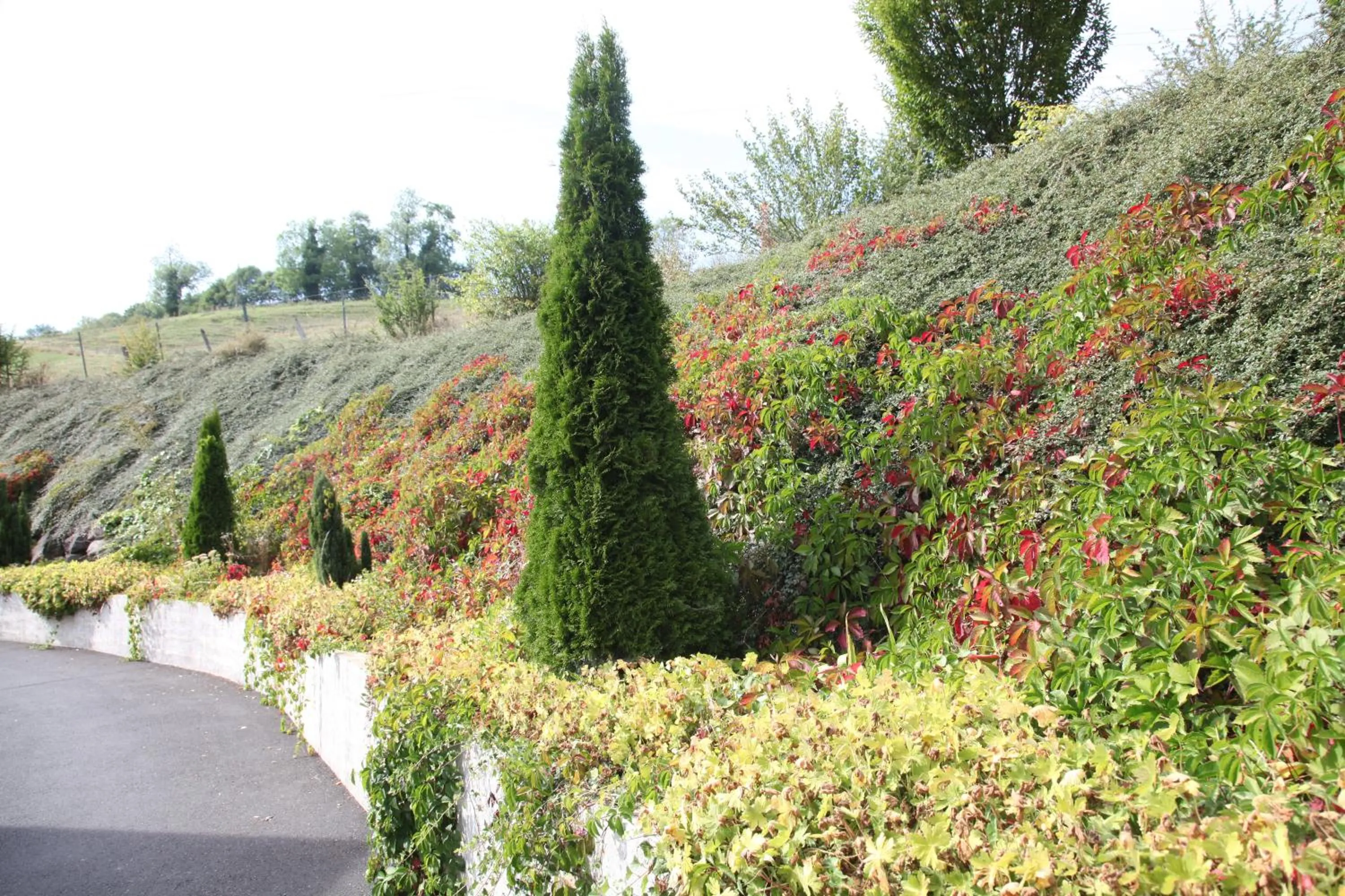 Facade/entrance in Hotel Aurena
