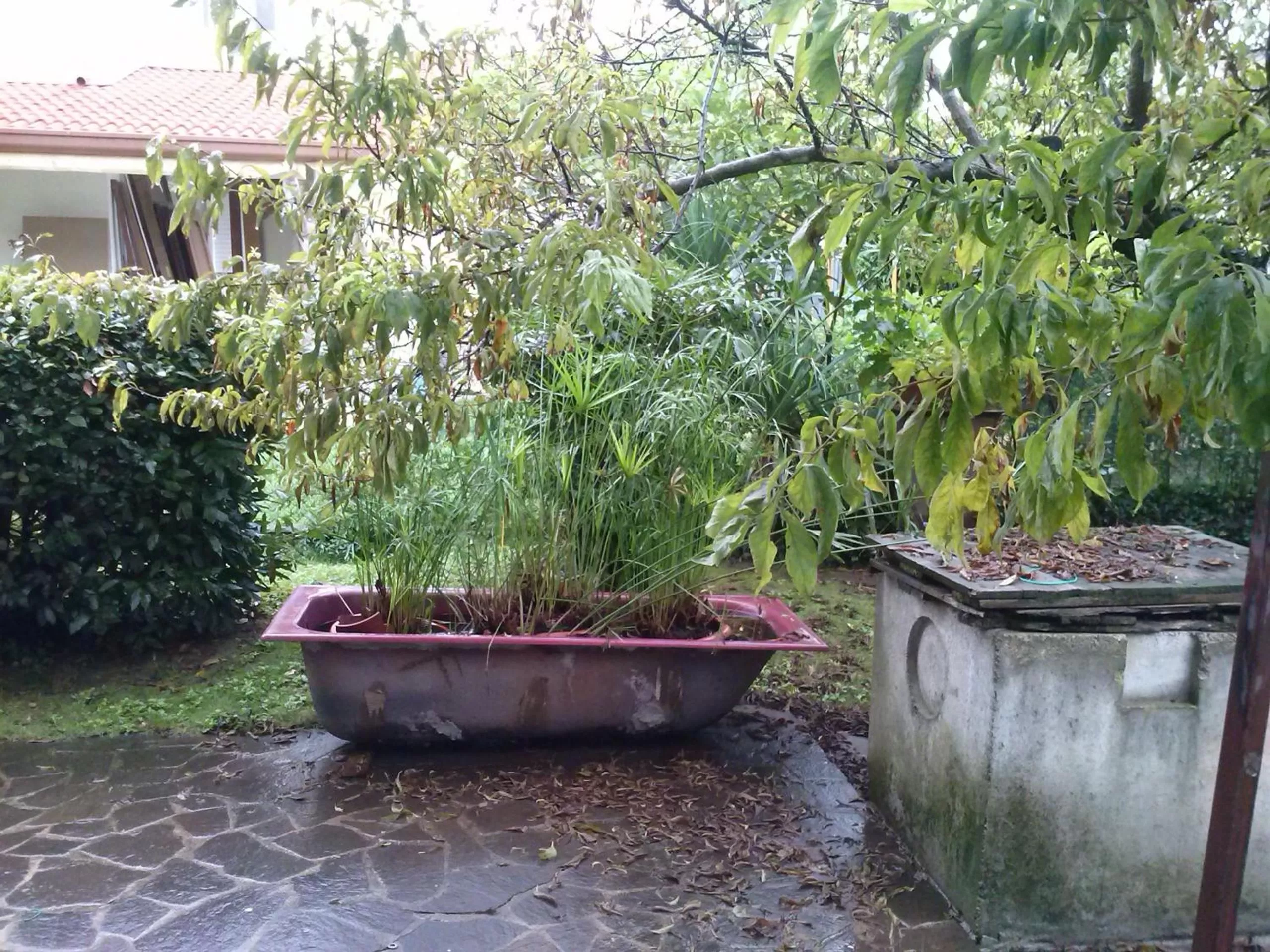 Garden in Casa Irene