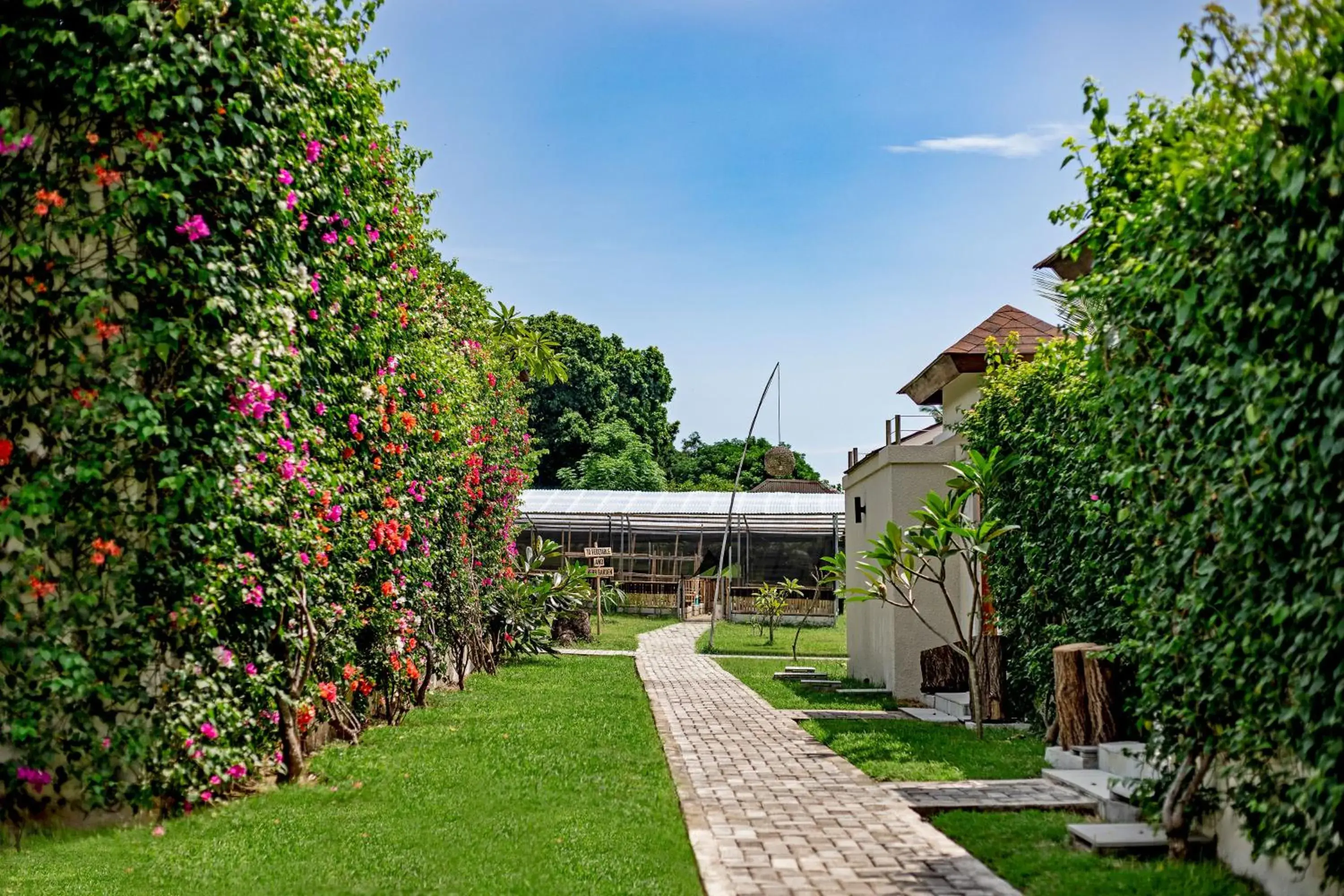 Natural landscape, Garden in Kokomo Resort Gili Gede