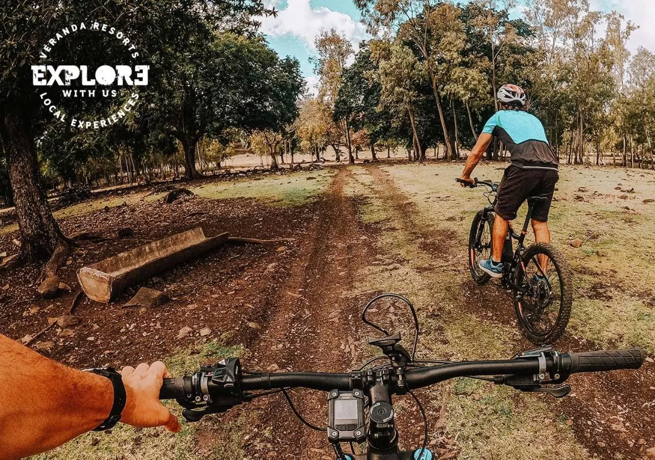 Activities in Veranda Tamarin Hotel & Spa