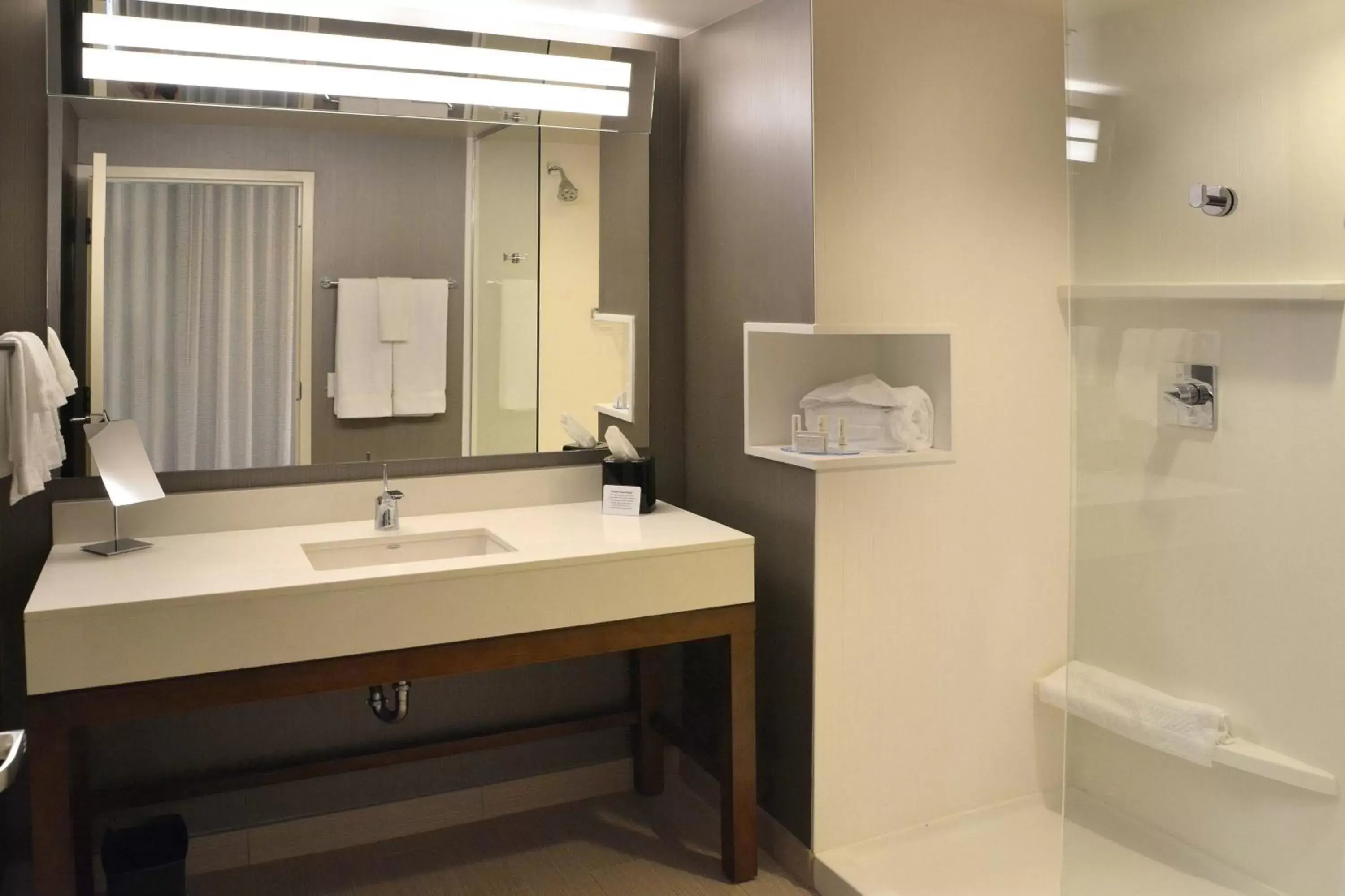 Bathroom in Courtyard by Marriott Youngstown Canfield