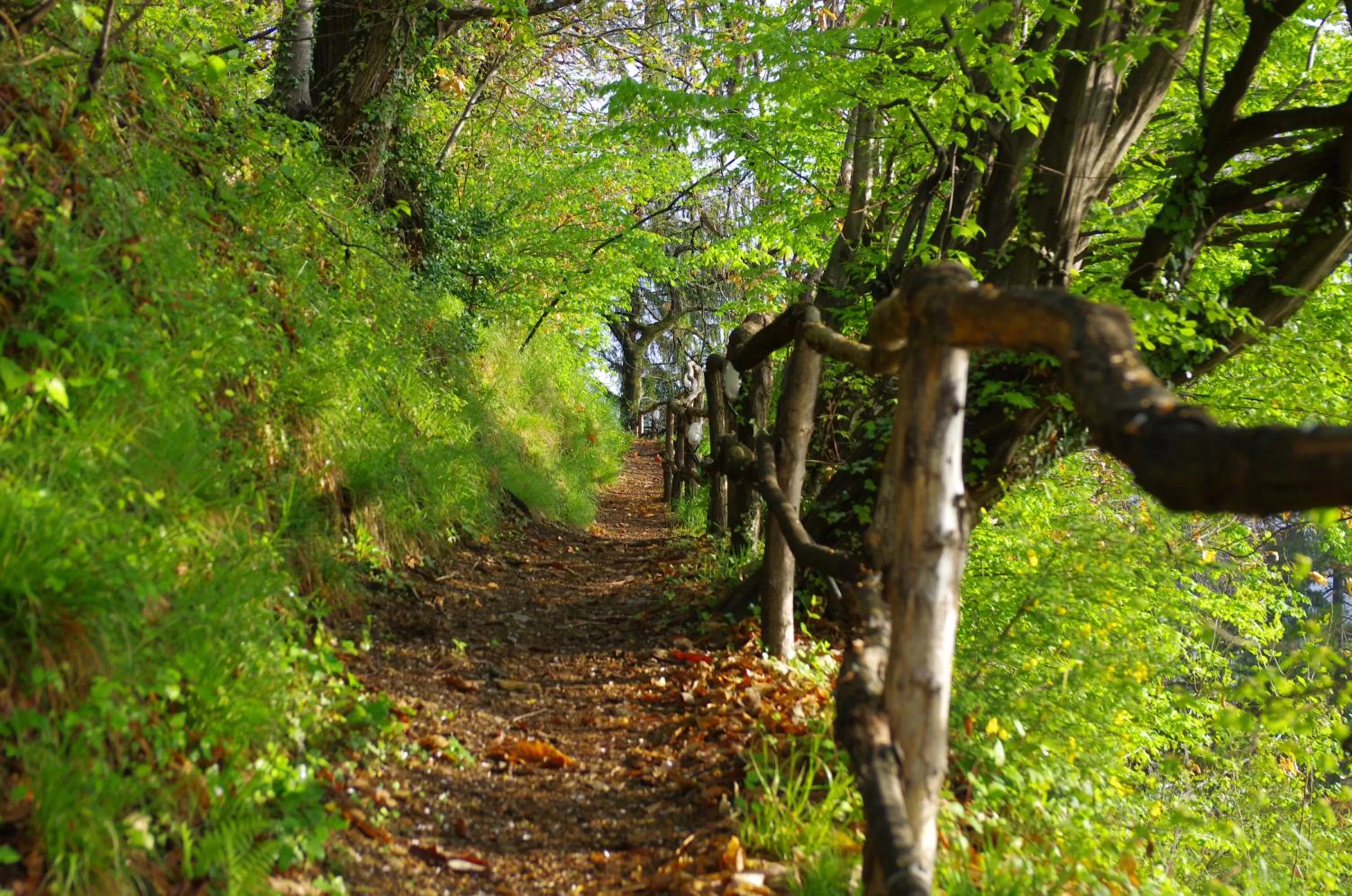 Activities in Stampa 1968 Hotel e Ristorante