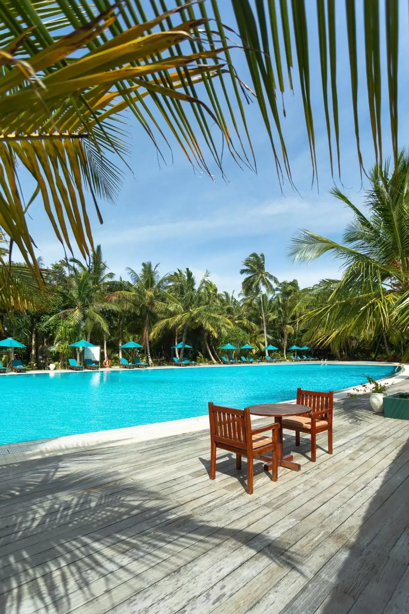 Day, Swimming Pool in Canareef Resort Maldives