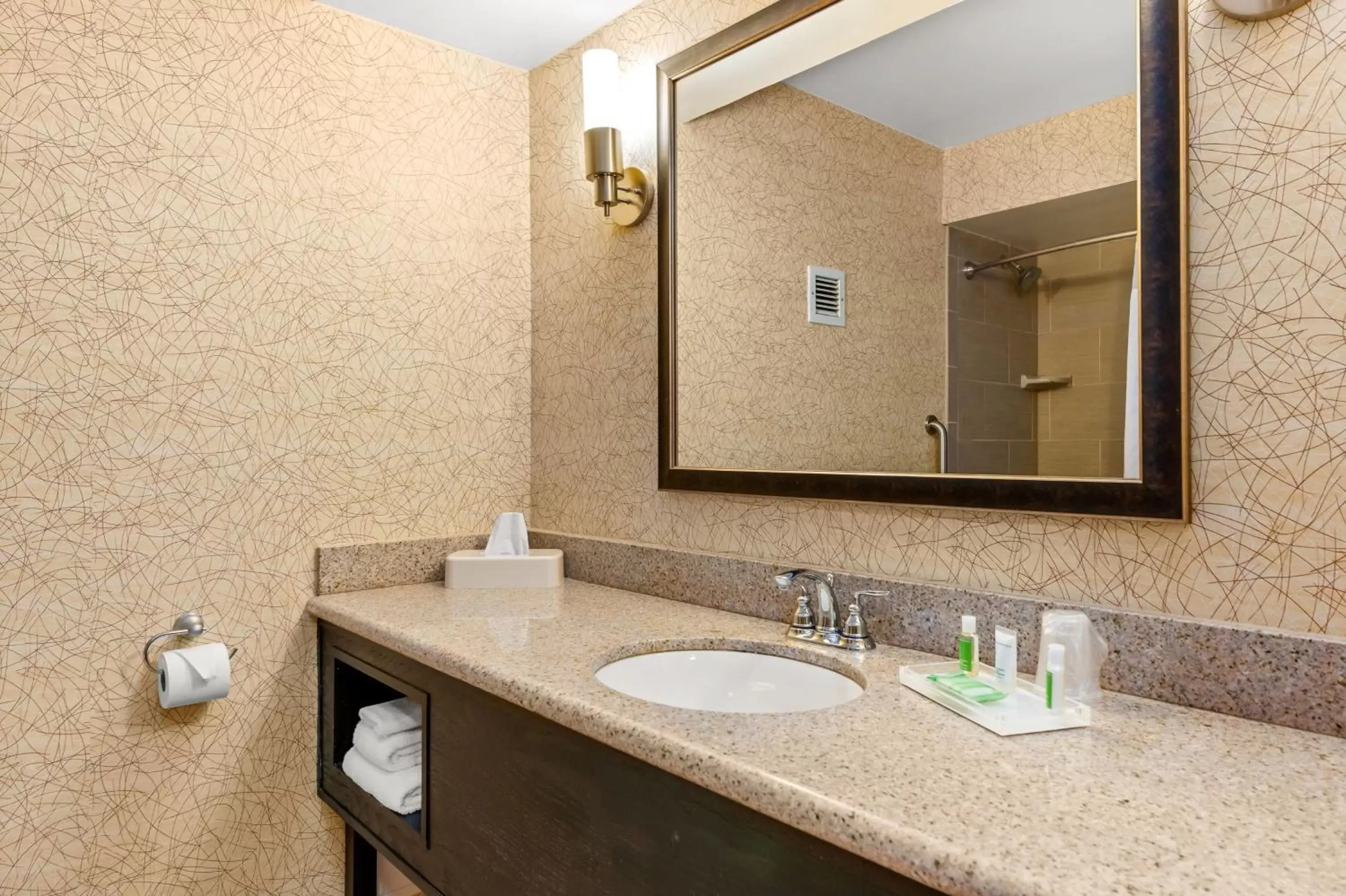 Photo of the whole room, Bathroom in Holiday Inn Johnson City, an IHG Hotel