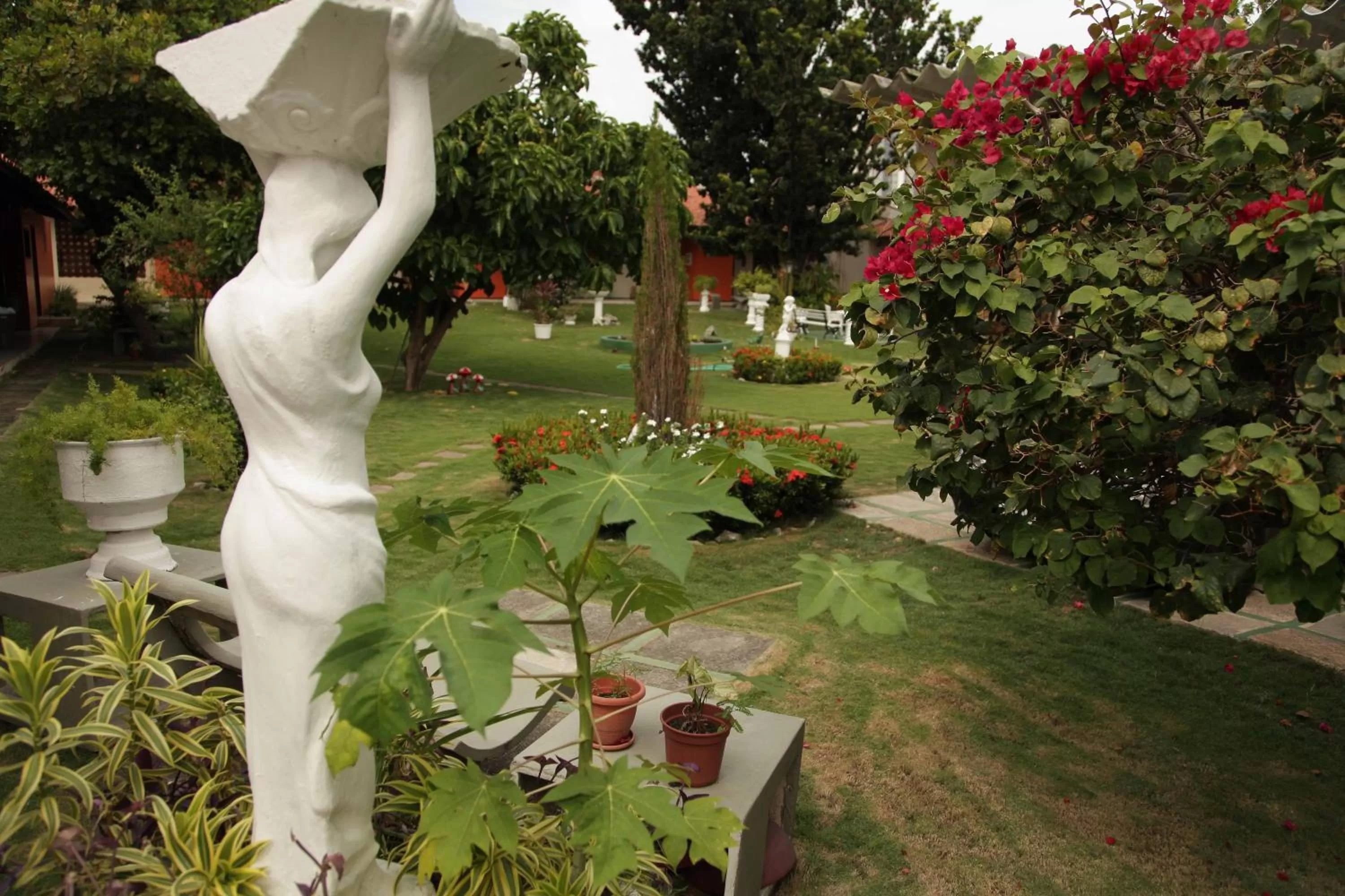 Day, Garden in Hotel Jardim