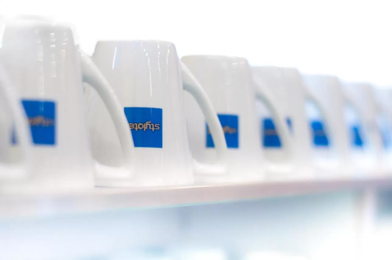 Decorative detail in Stylotel