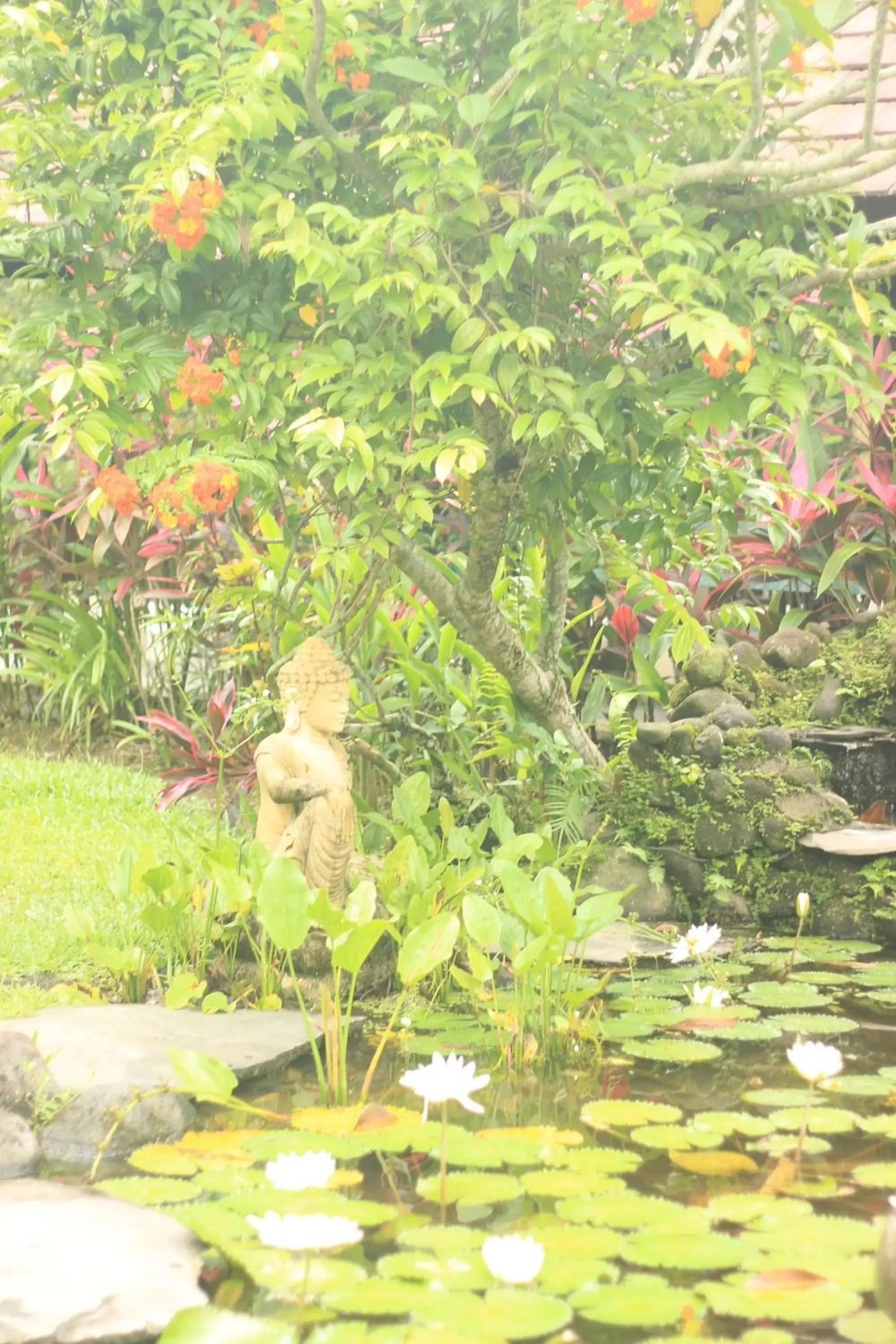 Day, Garden in BeingSattvaa Luxury Ubud - CHSE Certified