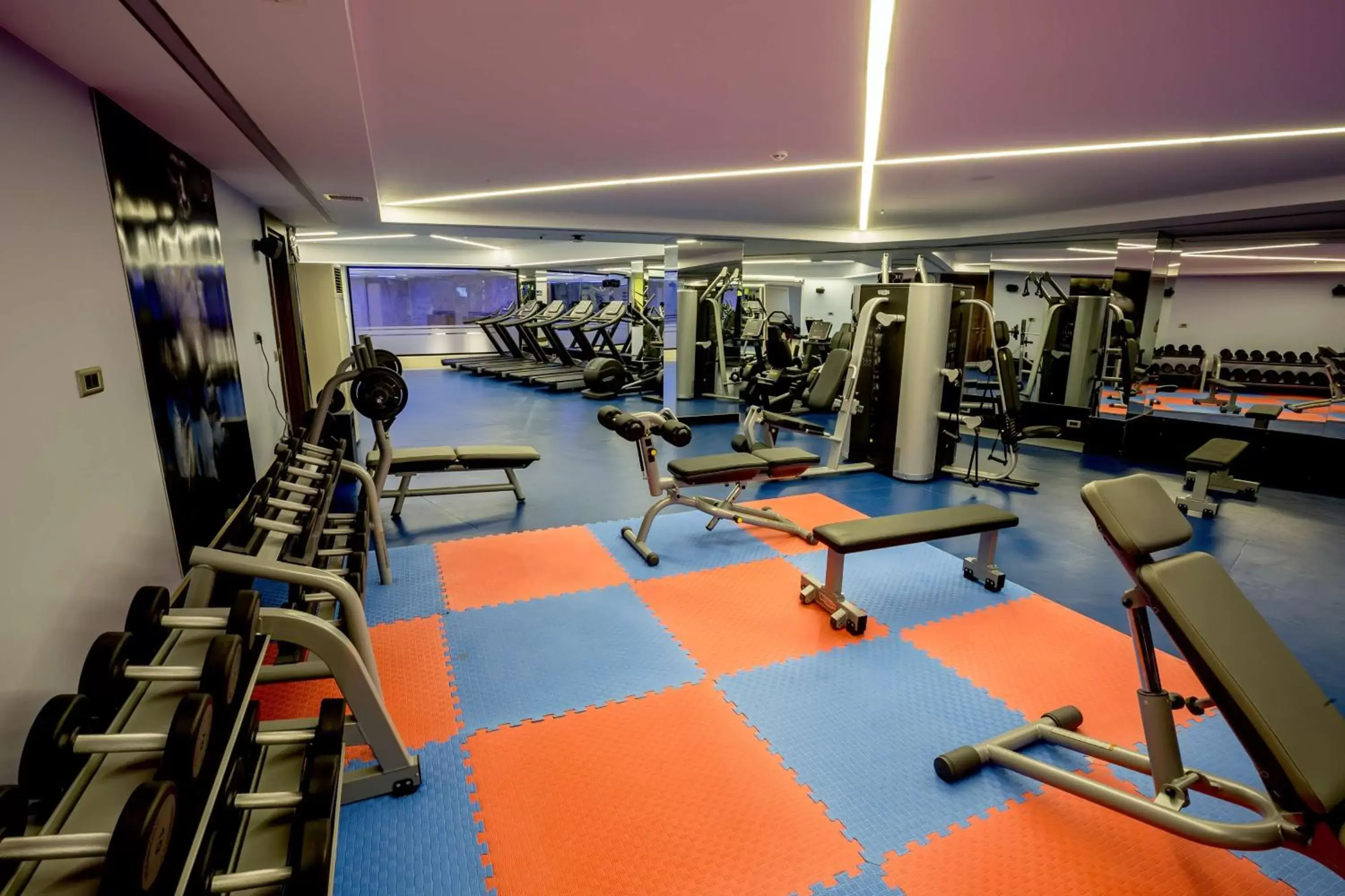 Activities, Fitness Center/Facilities in Radisson Blu Hotel, Diyarbakir