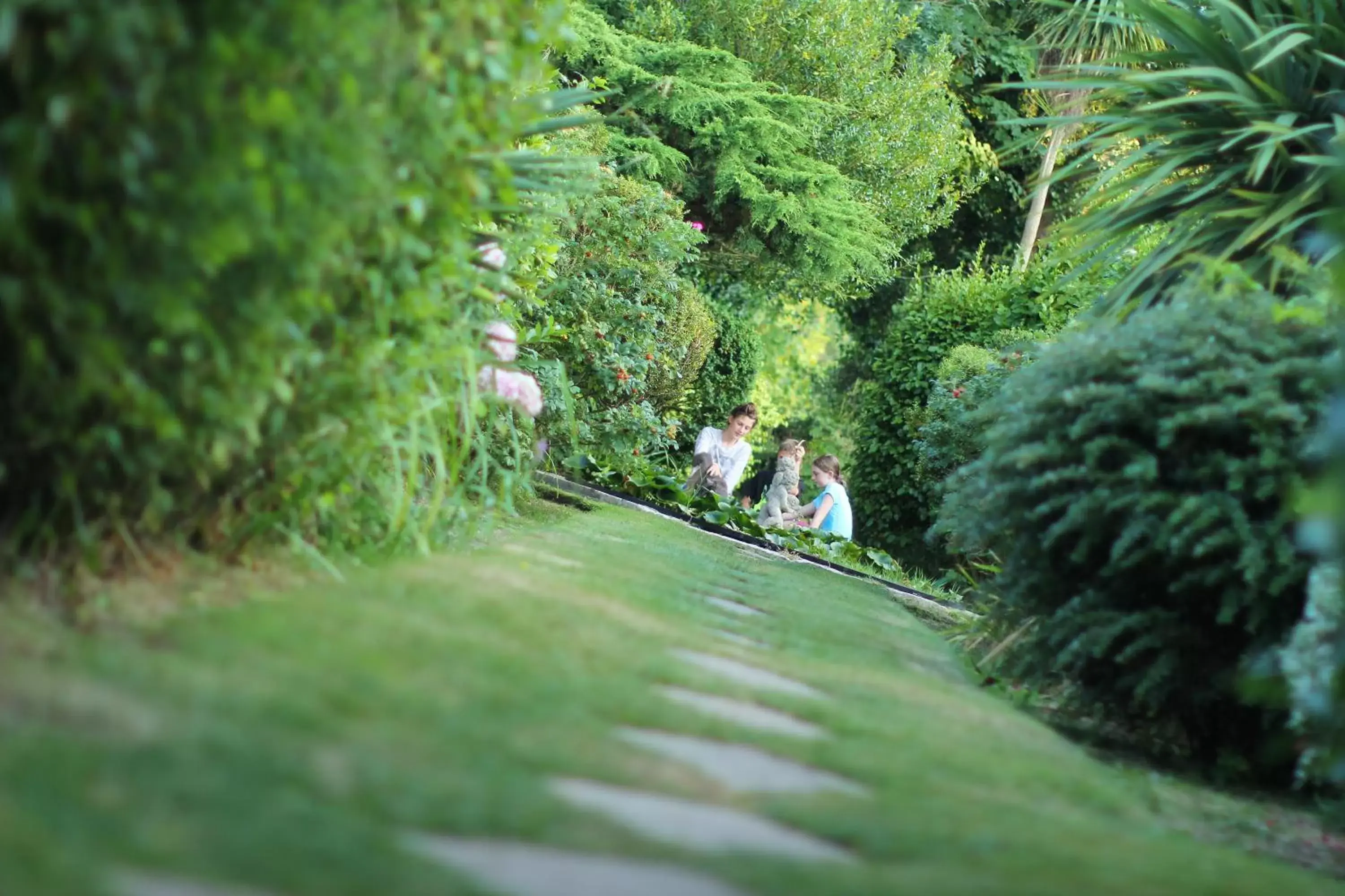 Garden in Luccombe Hall Hotel