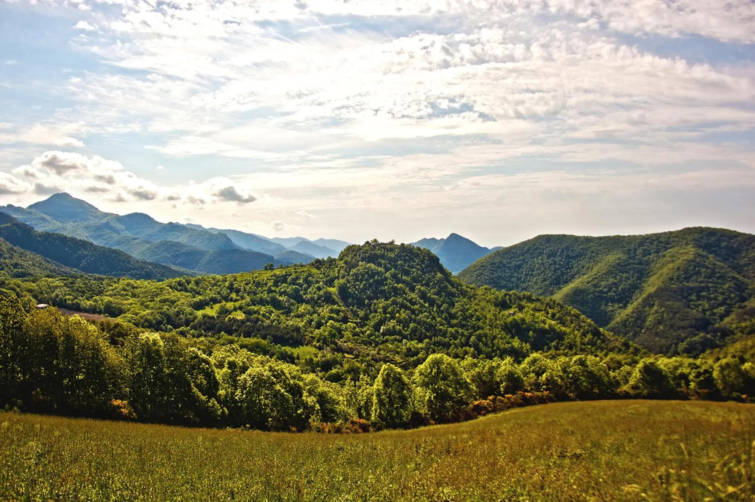 Natural Landscape in Hotel Mas de Xaxas