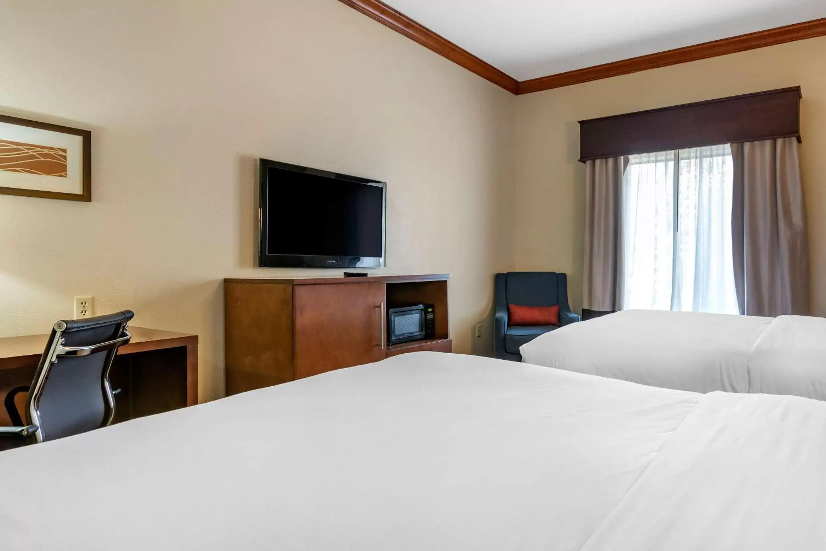 Photo of the whole room, Bed in Comfort Inn & Suites Statesboro - University Area