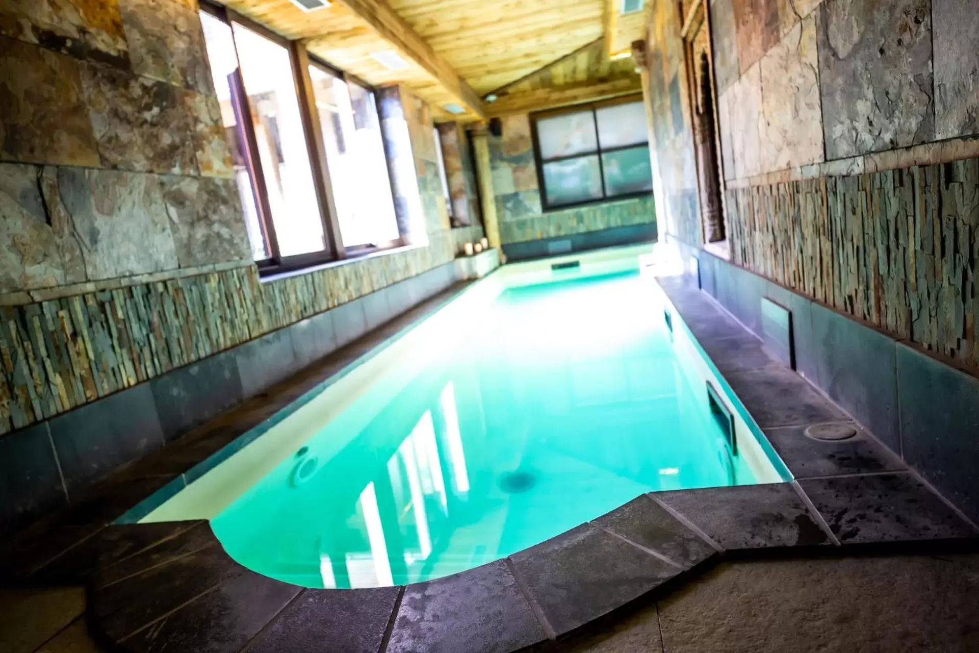 Spa and wellness centre/facilities, Swimming Pool in Hotel et Spa Le Lion d'Or