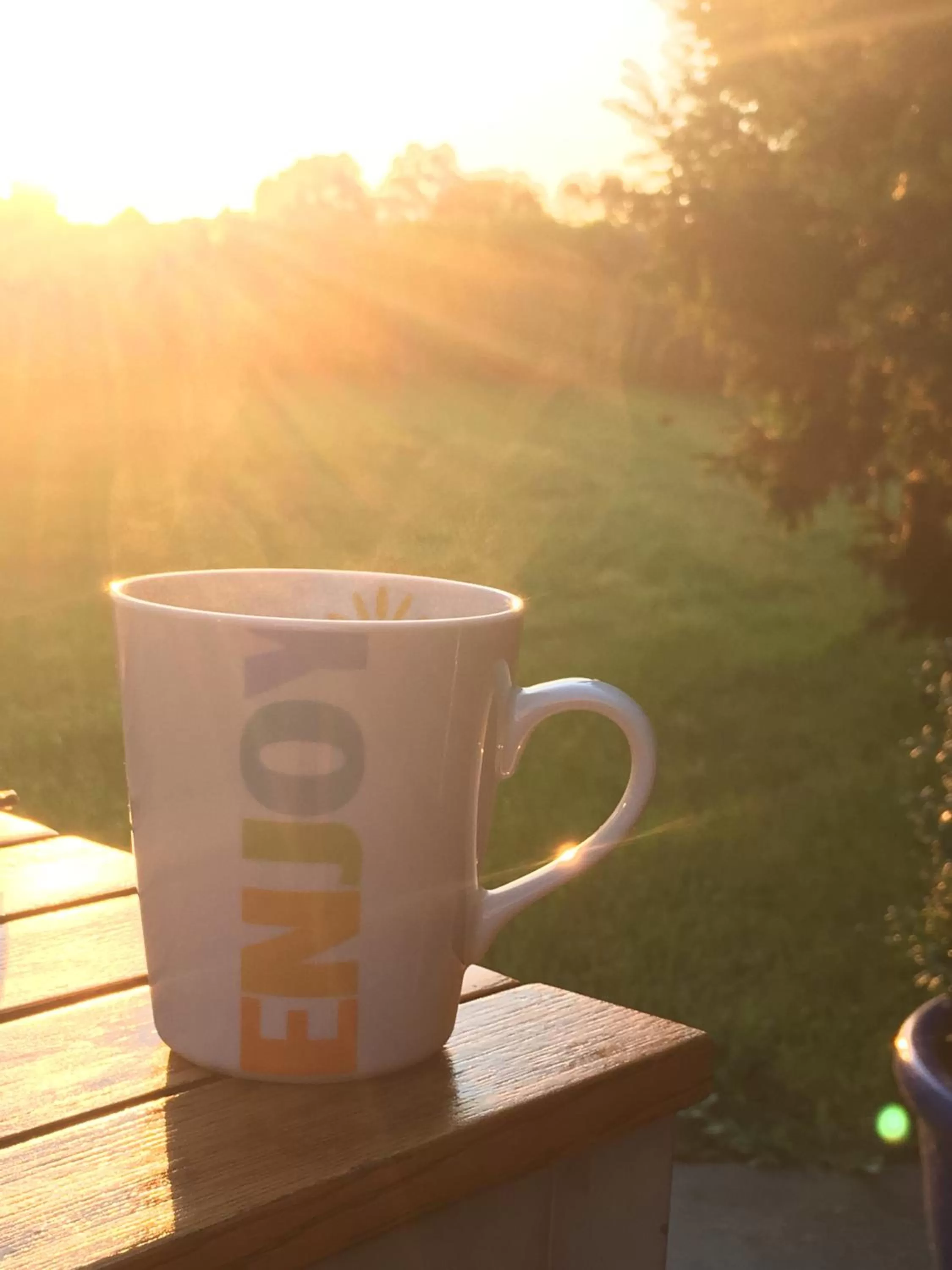 Summer in Hotel Löwenguth - Das freundliche gemütliche Budget Hotel