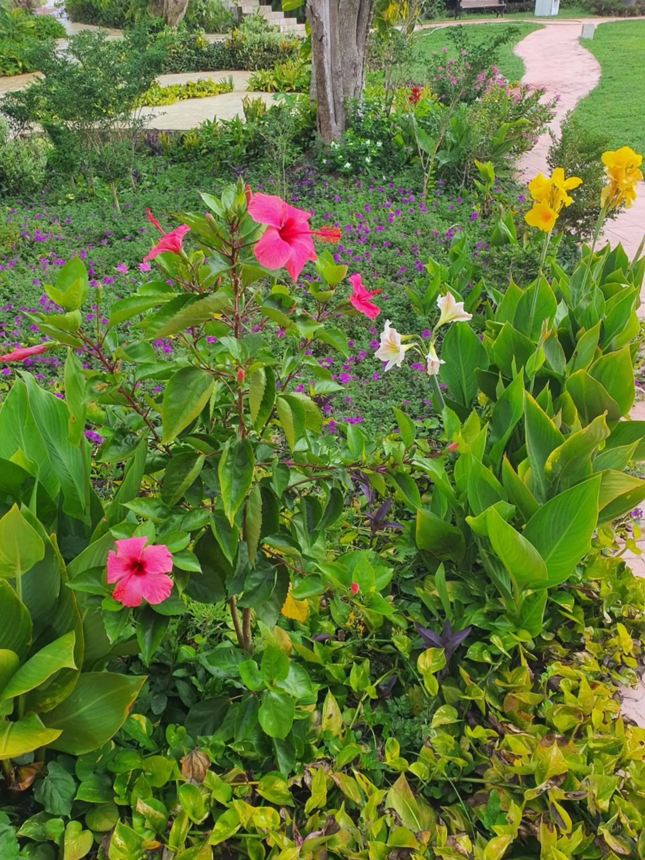 Garden in Hacienda María Elena Yucatán