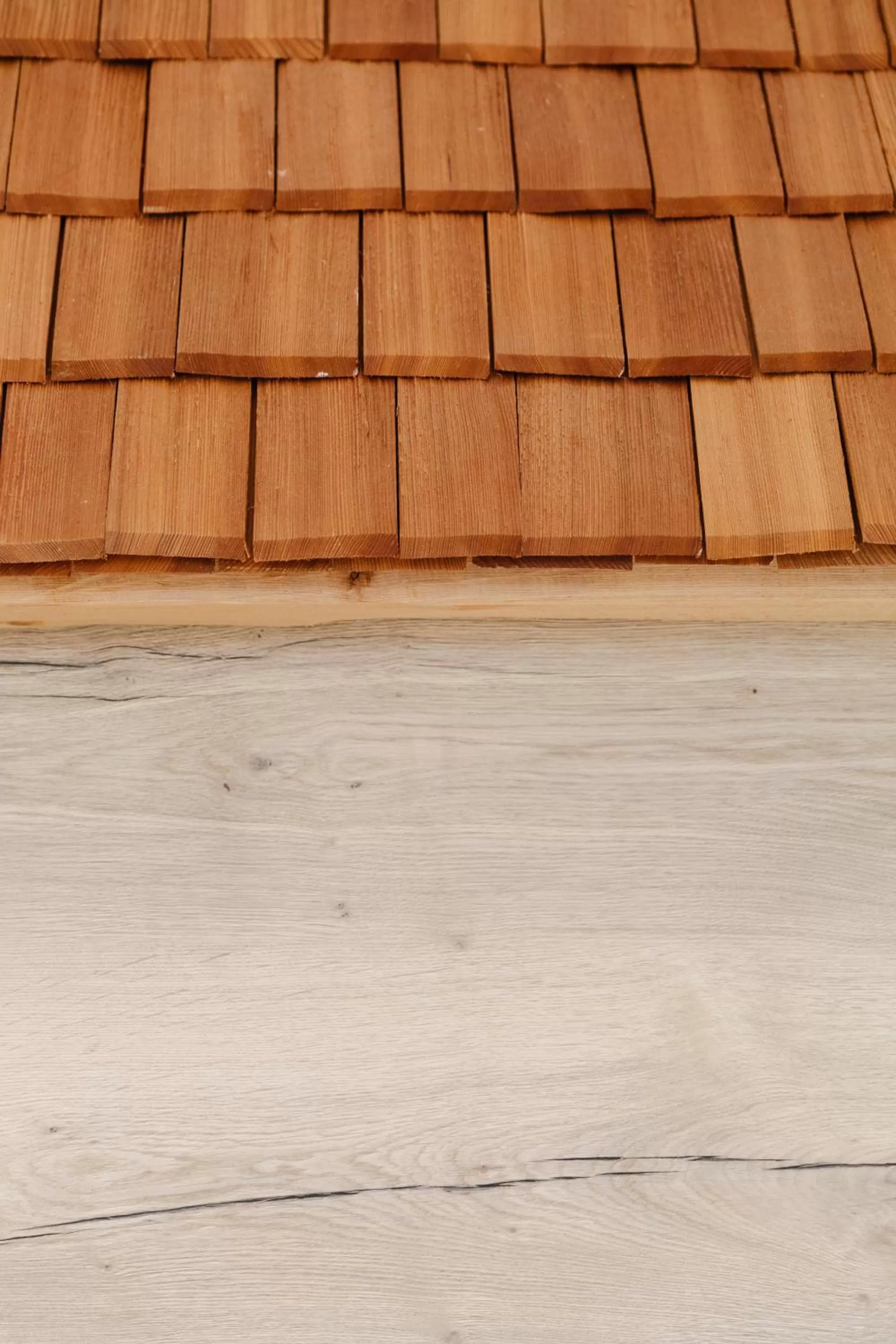 Decorative detail, Beach in Apart33 by Apart4you