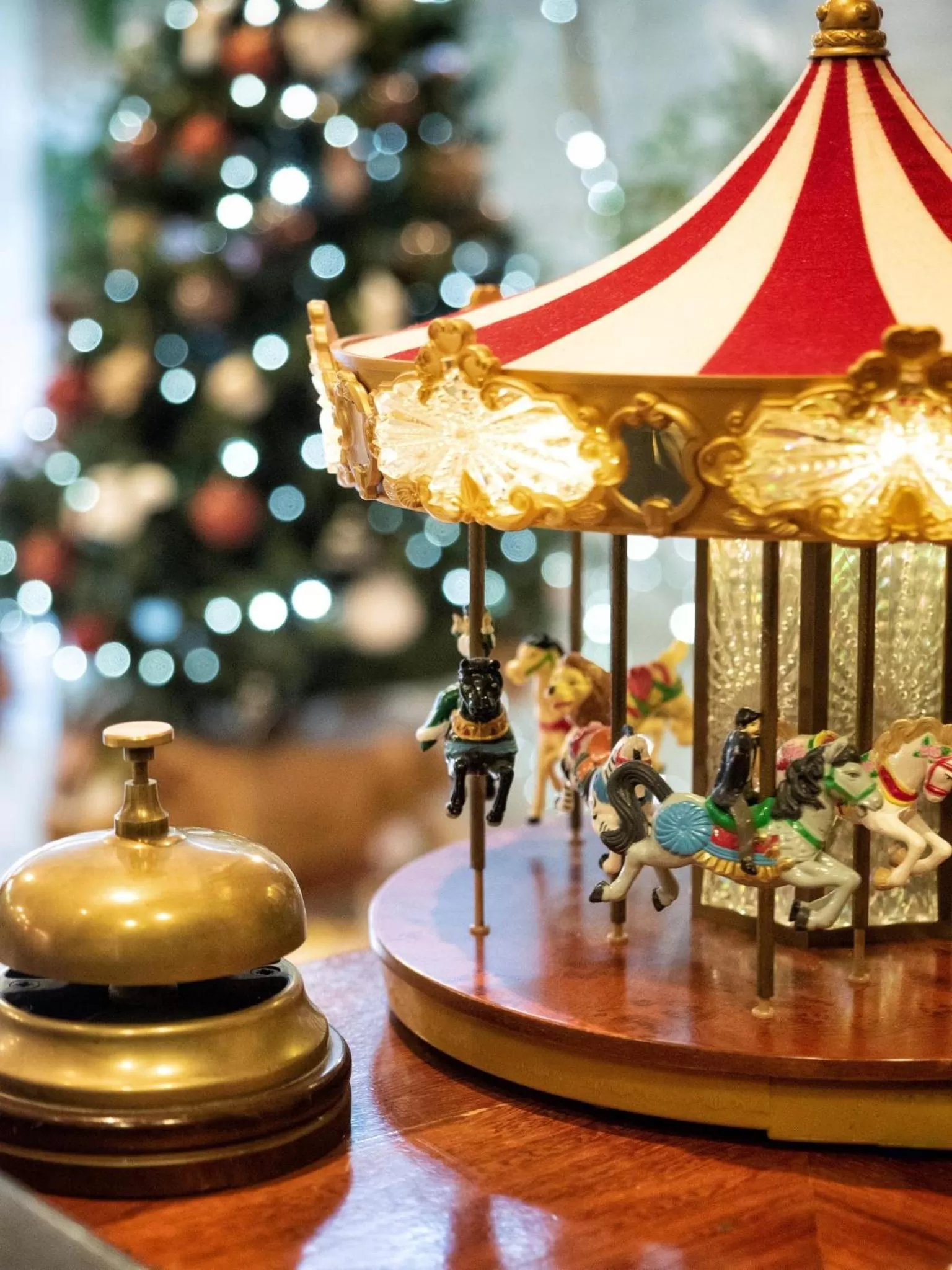 Area and facilities in Vilana Hotel Boutique