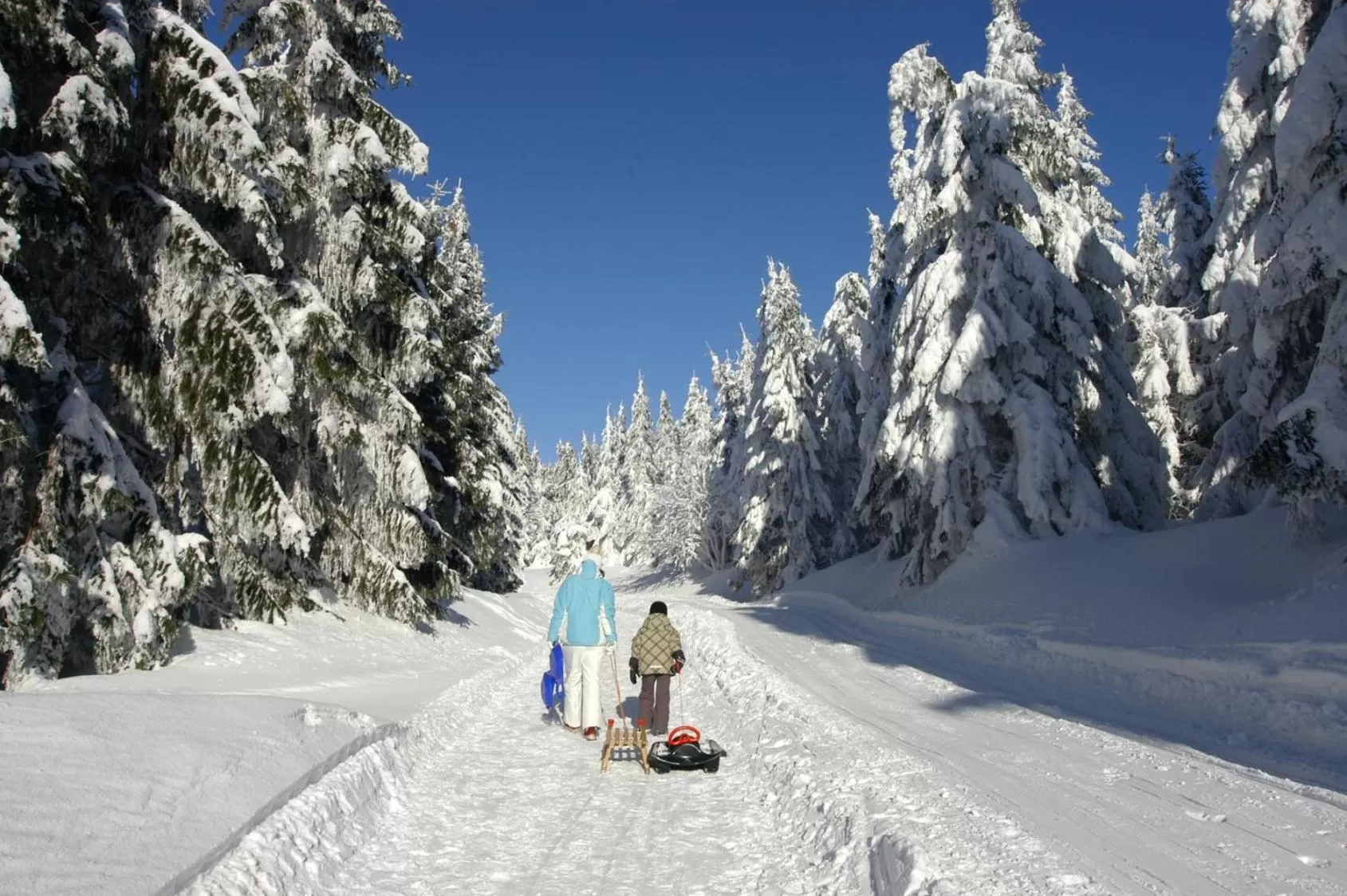 Winter in Hotel Zum Schneekopf "Garni"