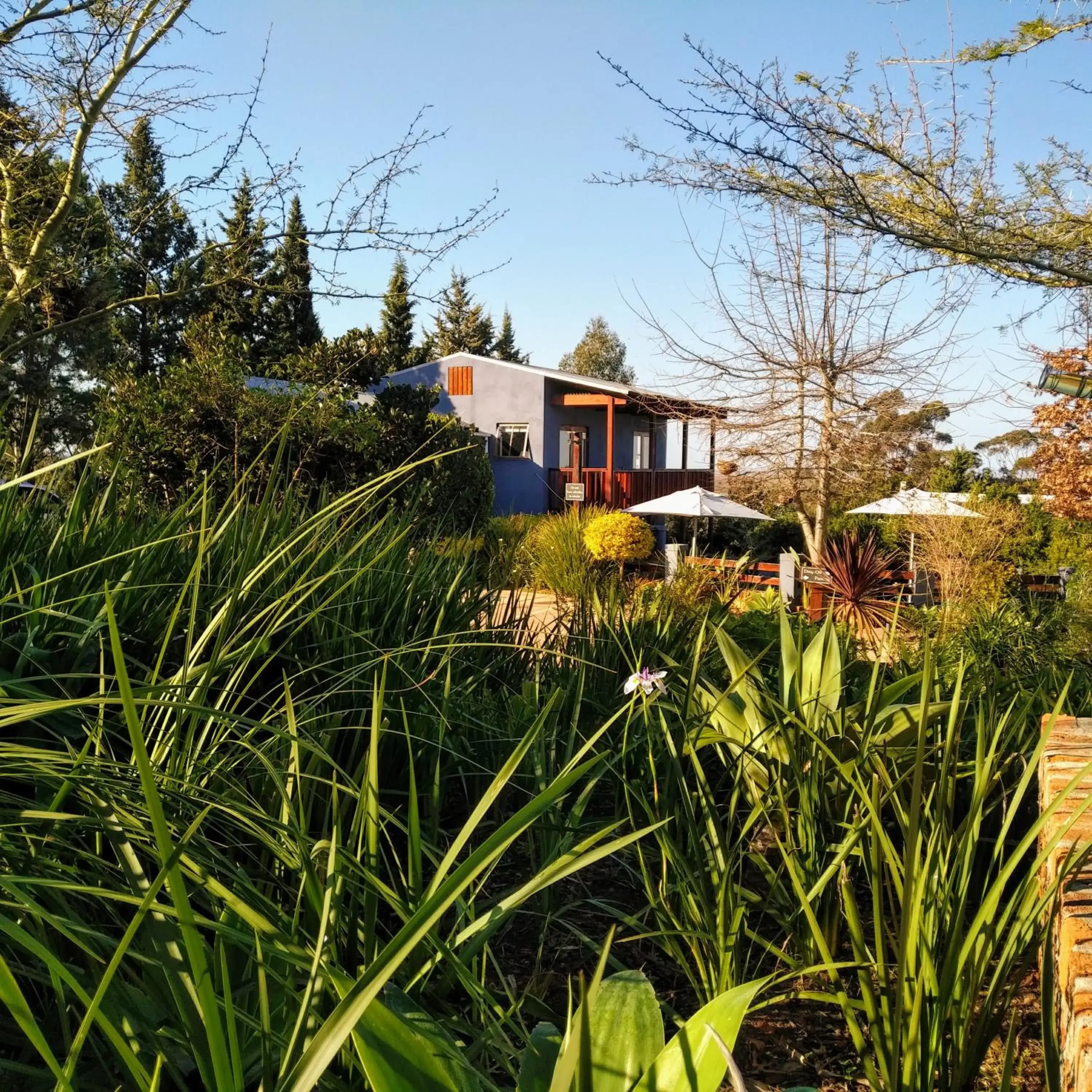 Garden, Property Building in A Hilltop Country Retreat