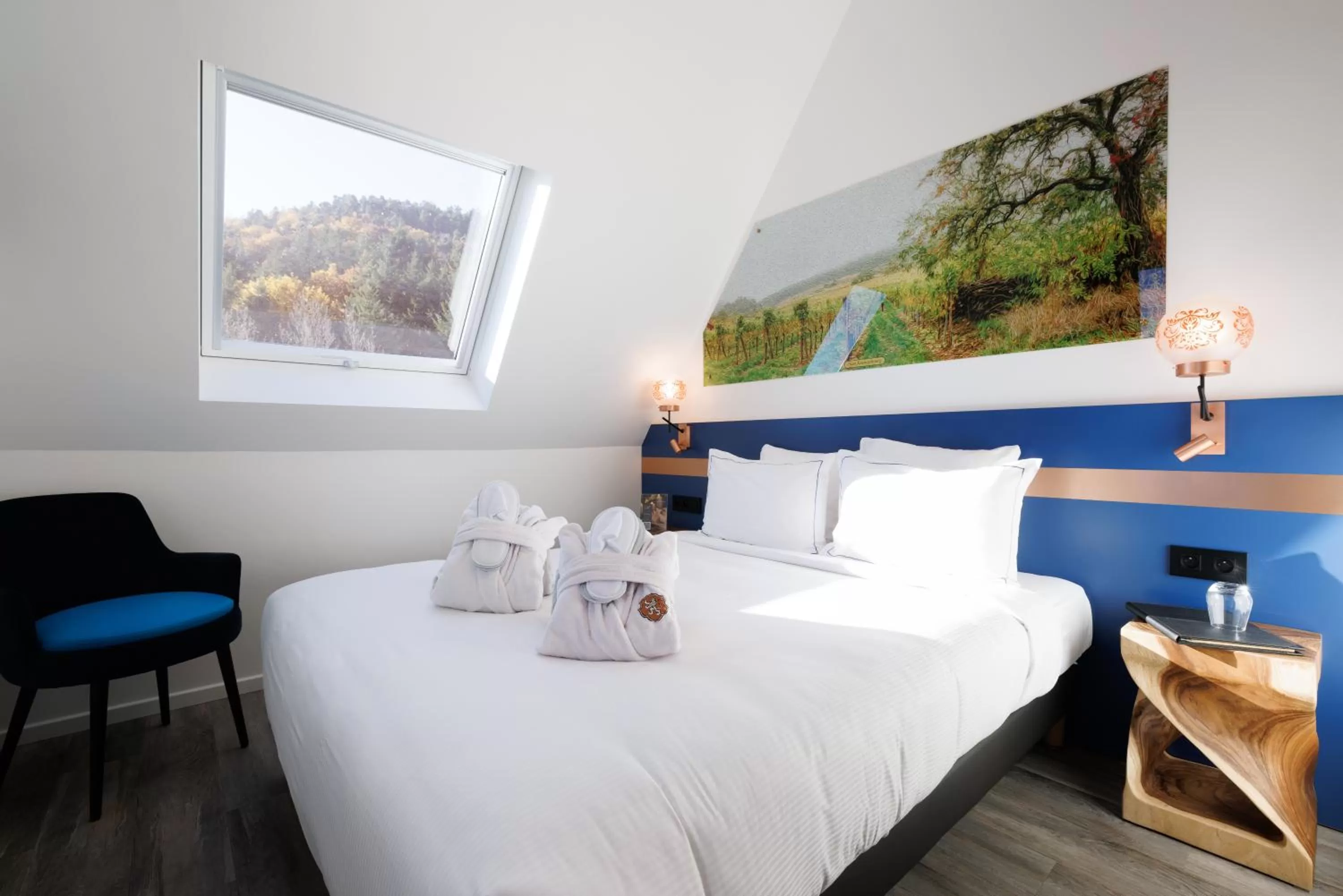 Classic Double Room - access to the spa included in Hotel SPA Husseren Collections - Proche Colmar - Eguisheim