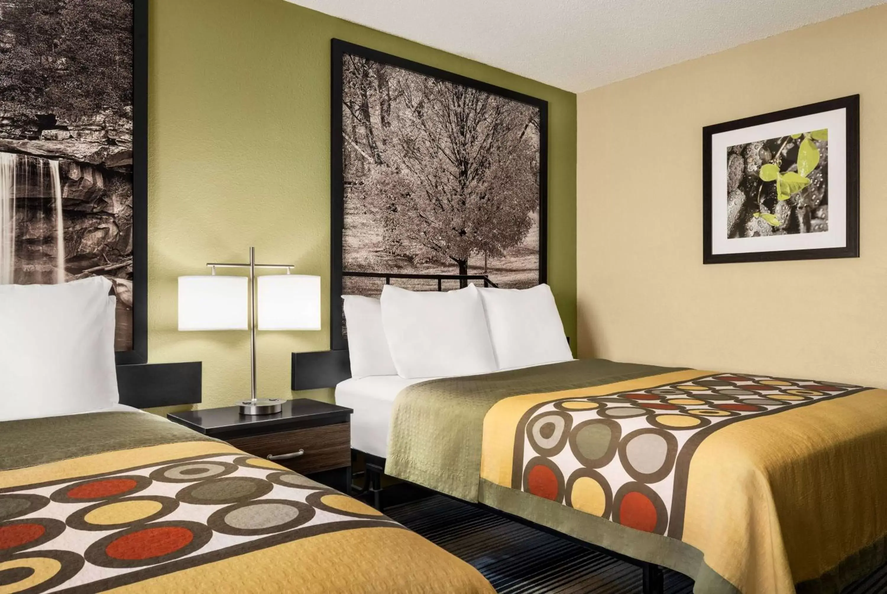 Bed in Super 8 by Wyndham Maysville KY Bed in Super 8 by Wyndham Maysville KY