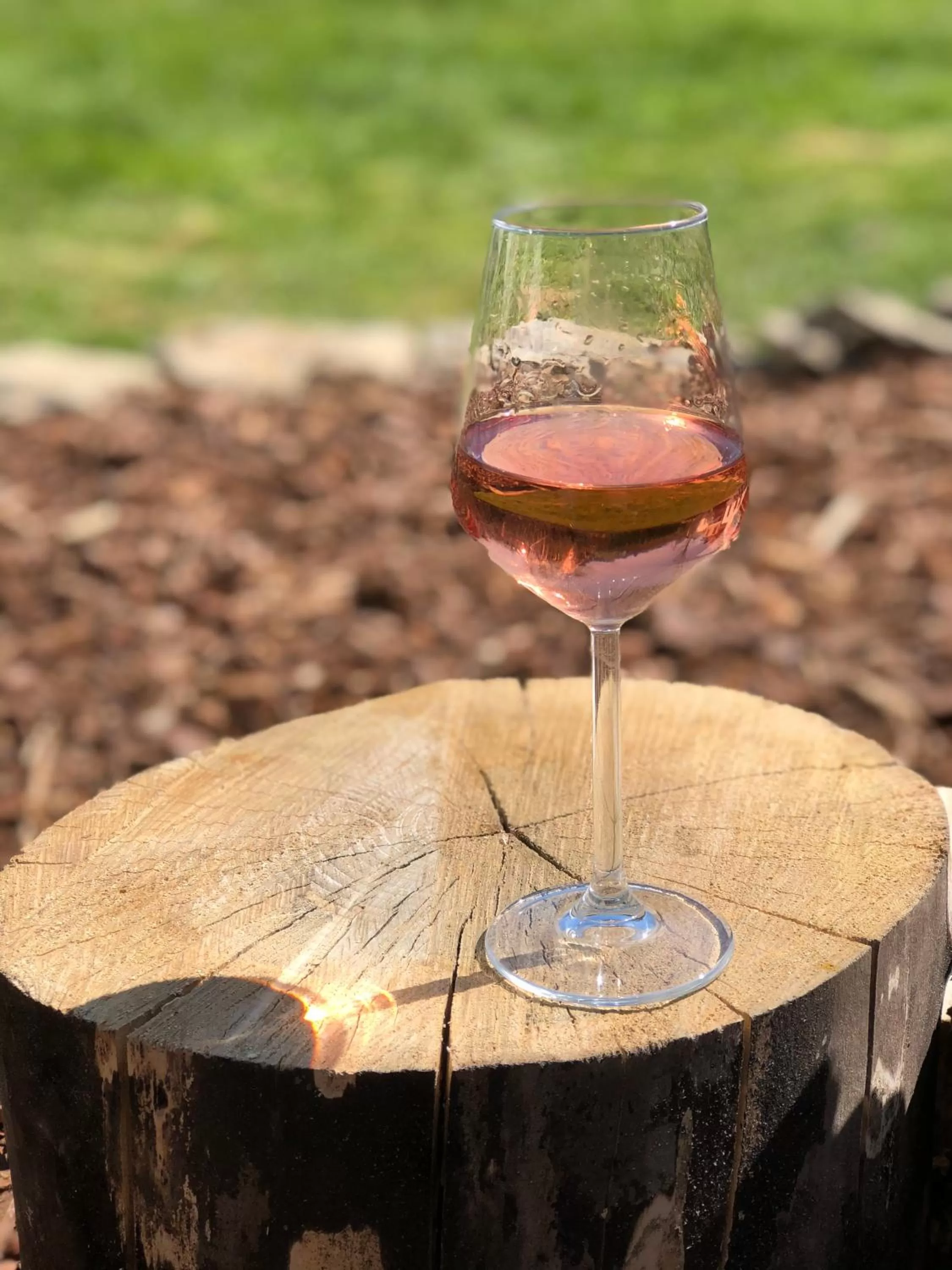 Garden in B&B Le Nid d'Hirondelle