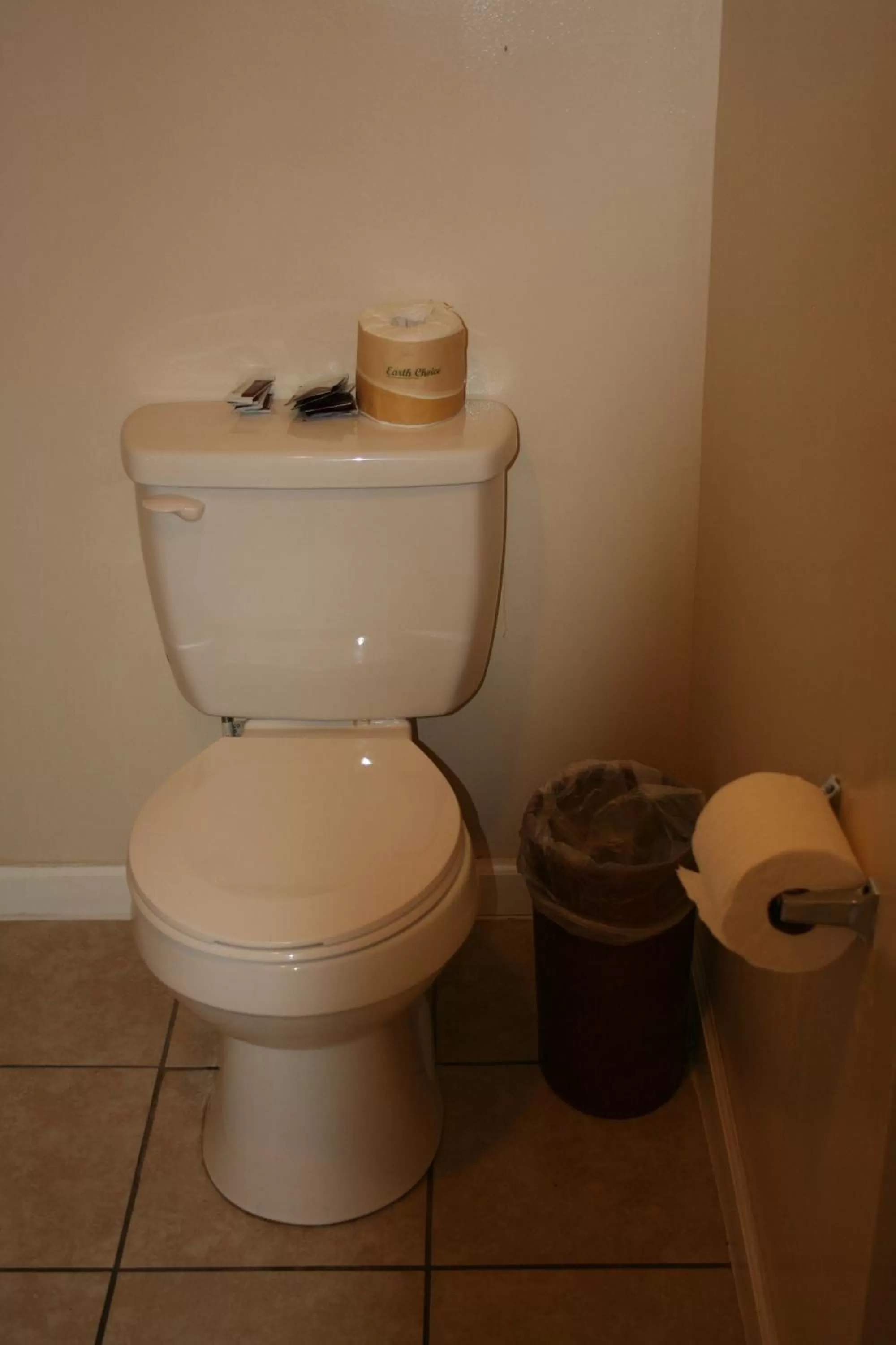 Toilet in Europa Hotel