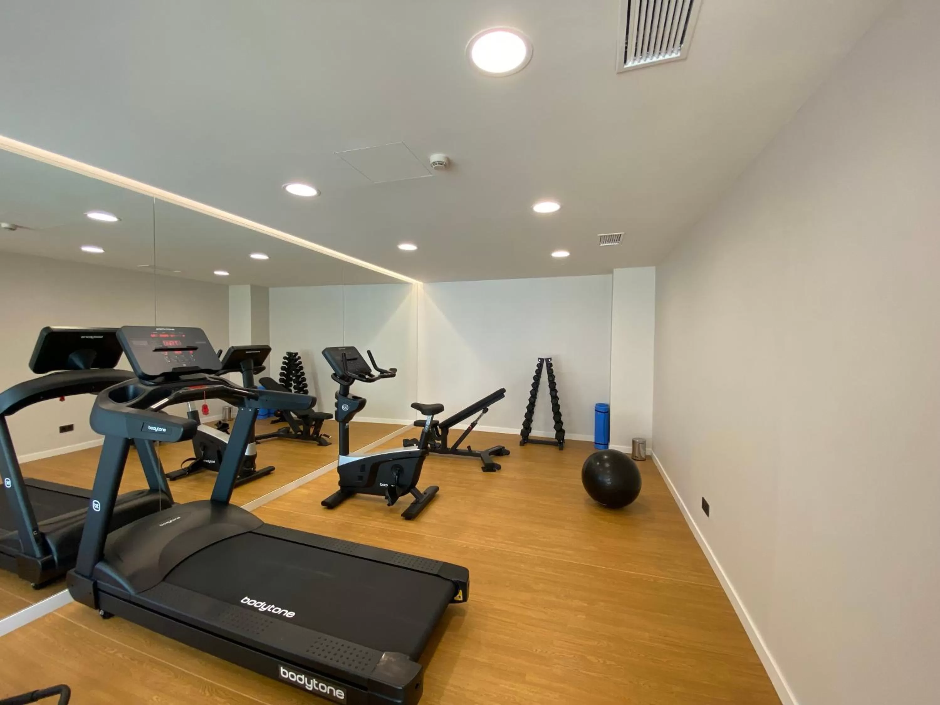 Fitness centre/facilities in Eurostars San Lazaro