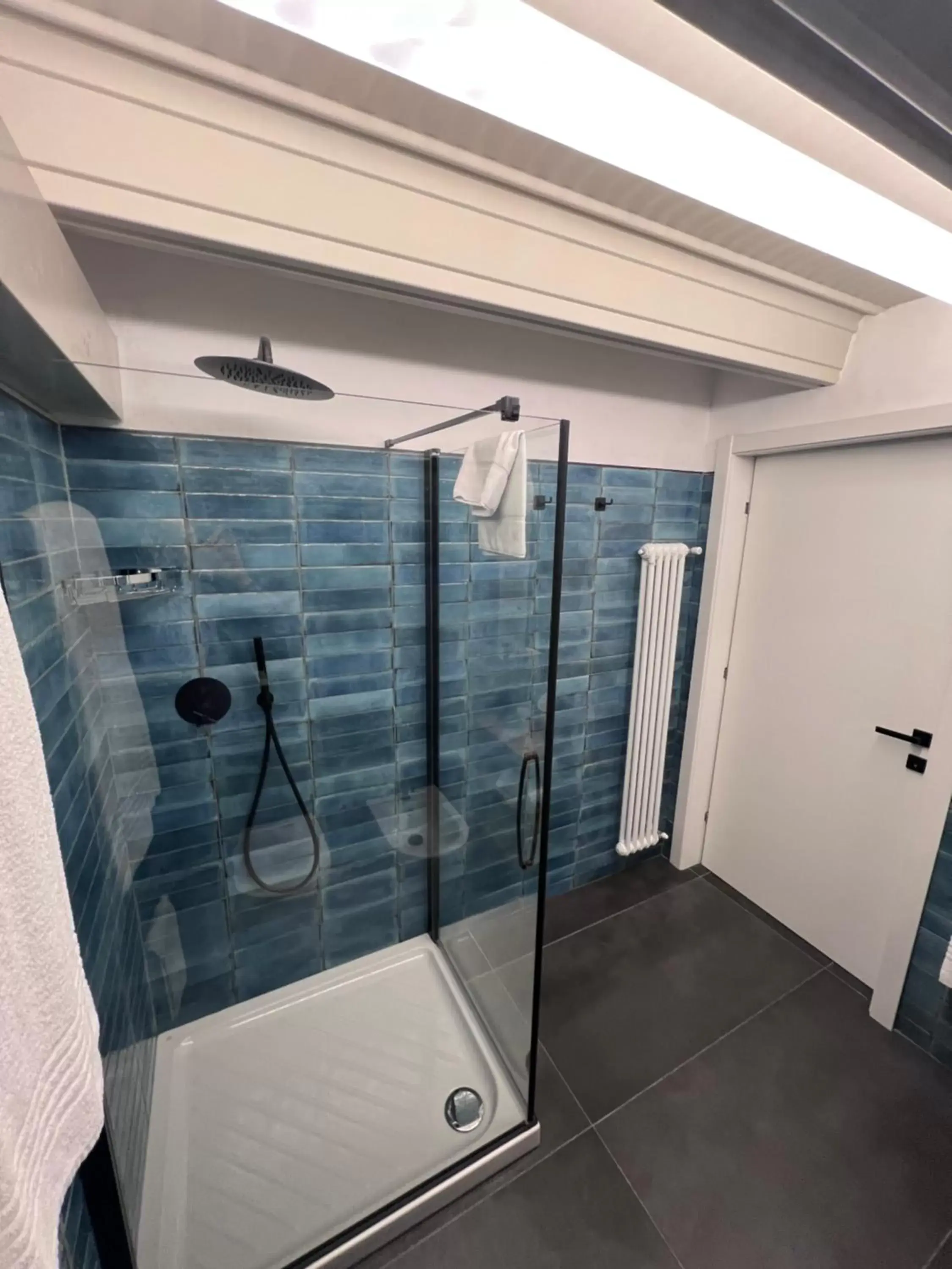 Shower, Bathroom in Residence Star