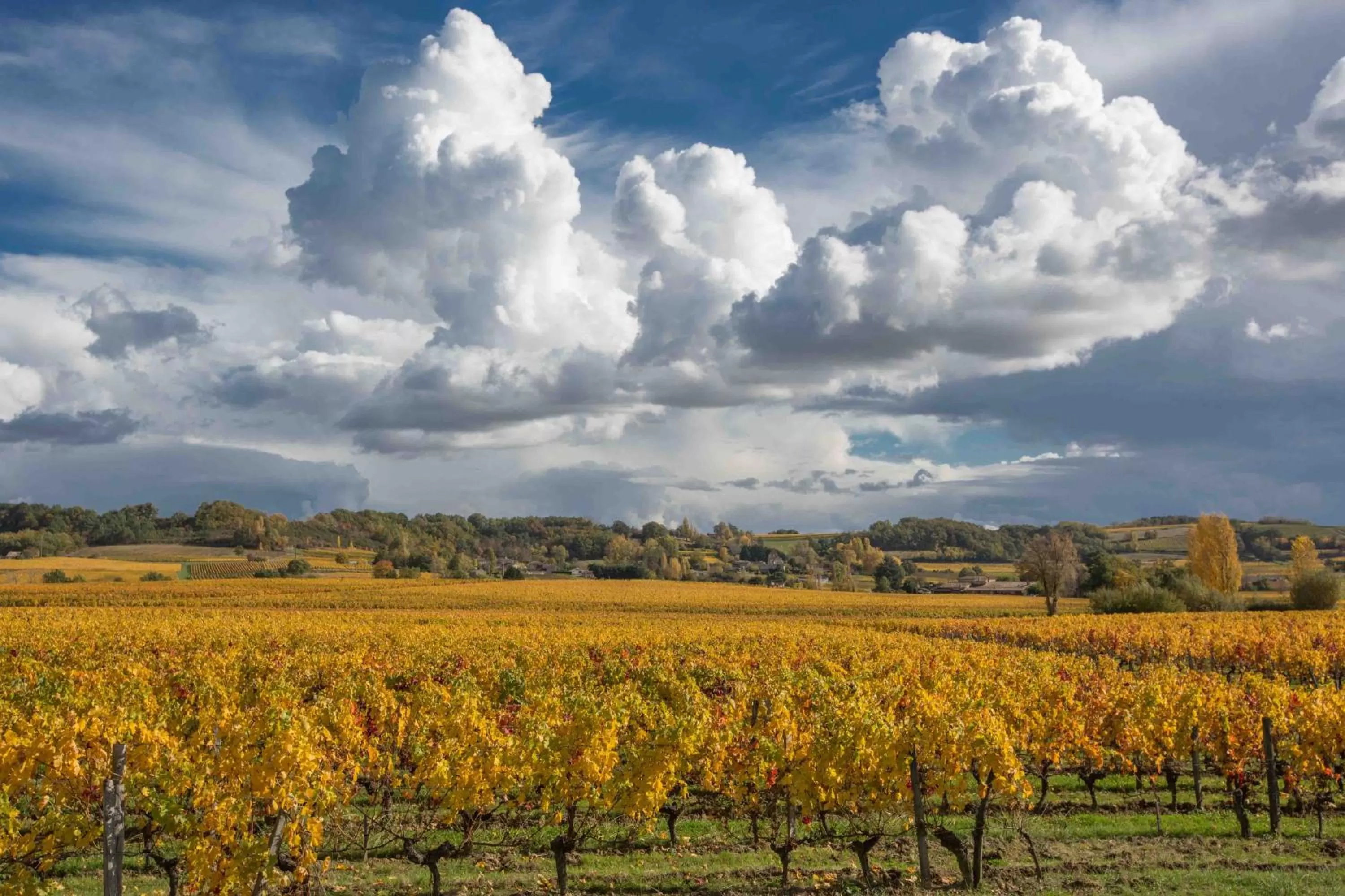 Landmark view in Chateau du Palanquey & SPA