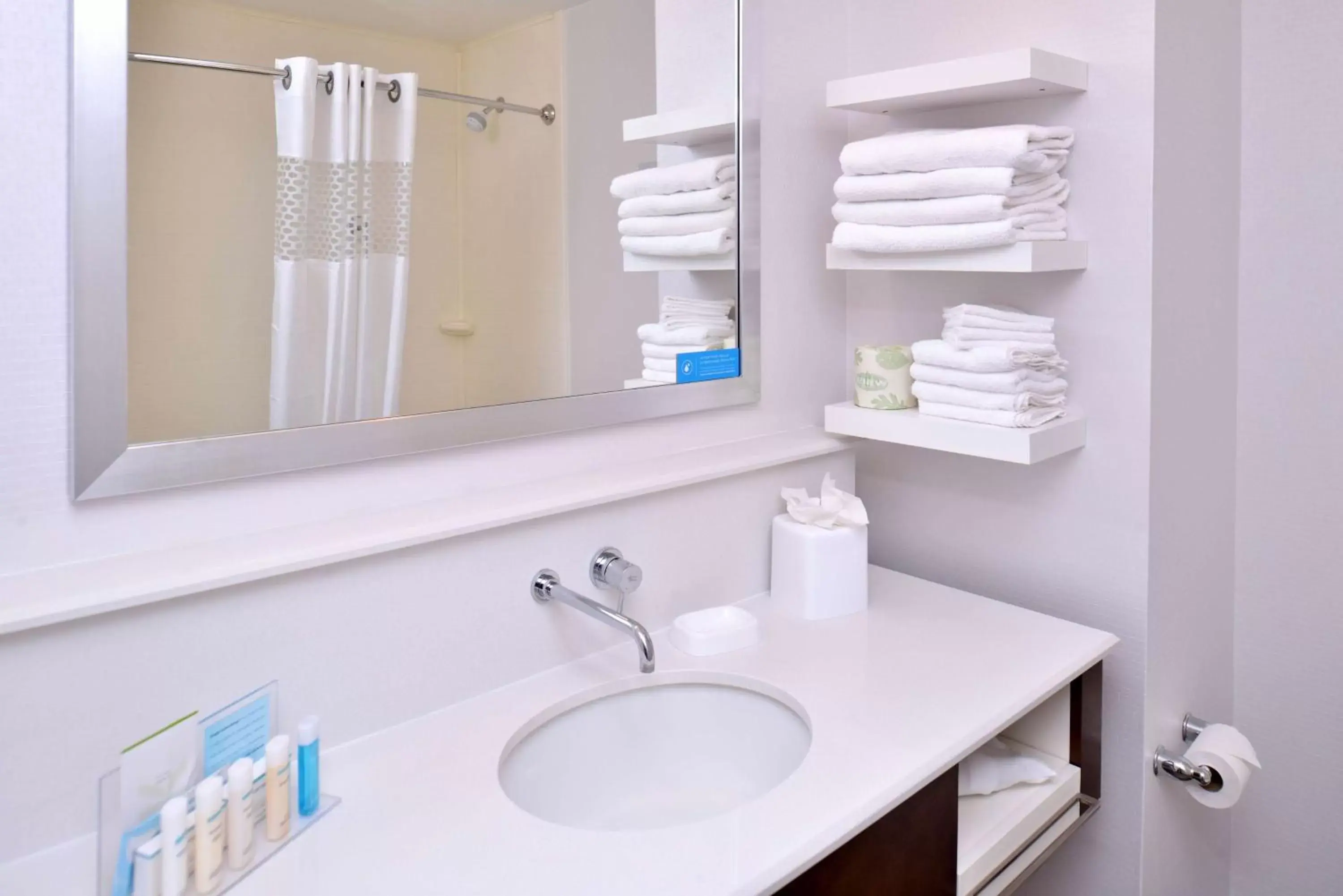 Bathroom in Hampton Inn & Suites Ann Arbor West