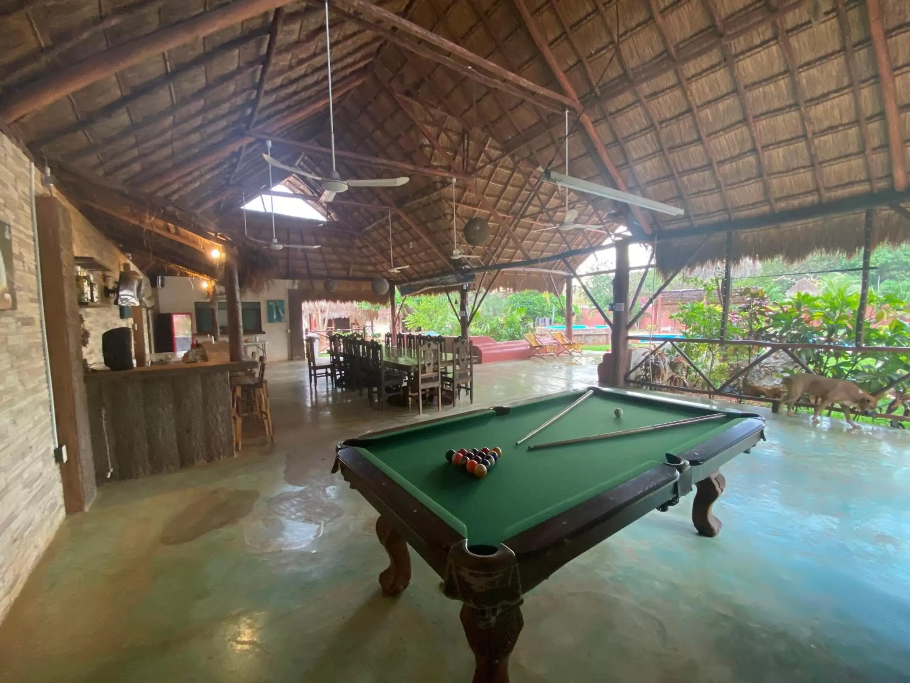 Billiard, Billiards in Mangrove King Fishing Lodge