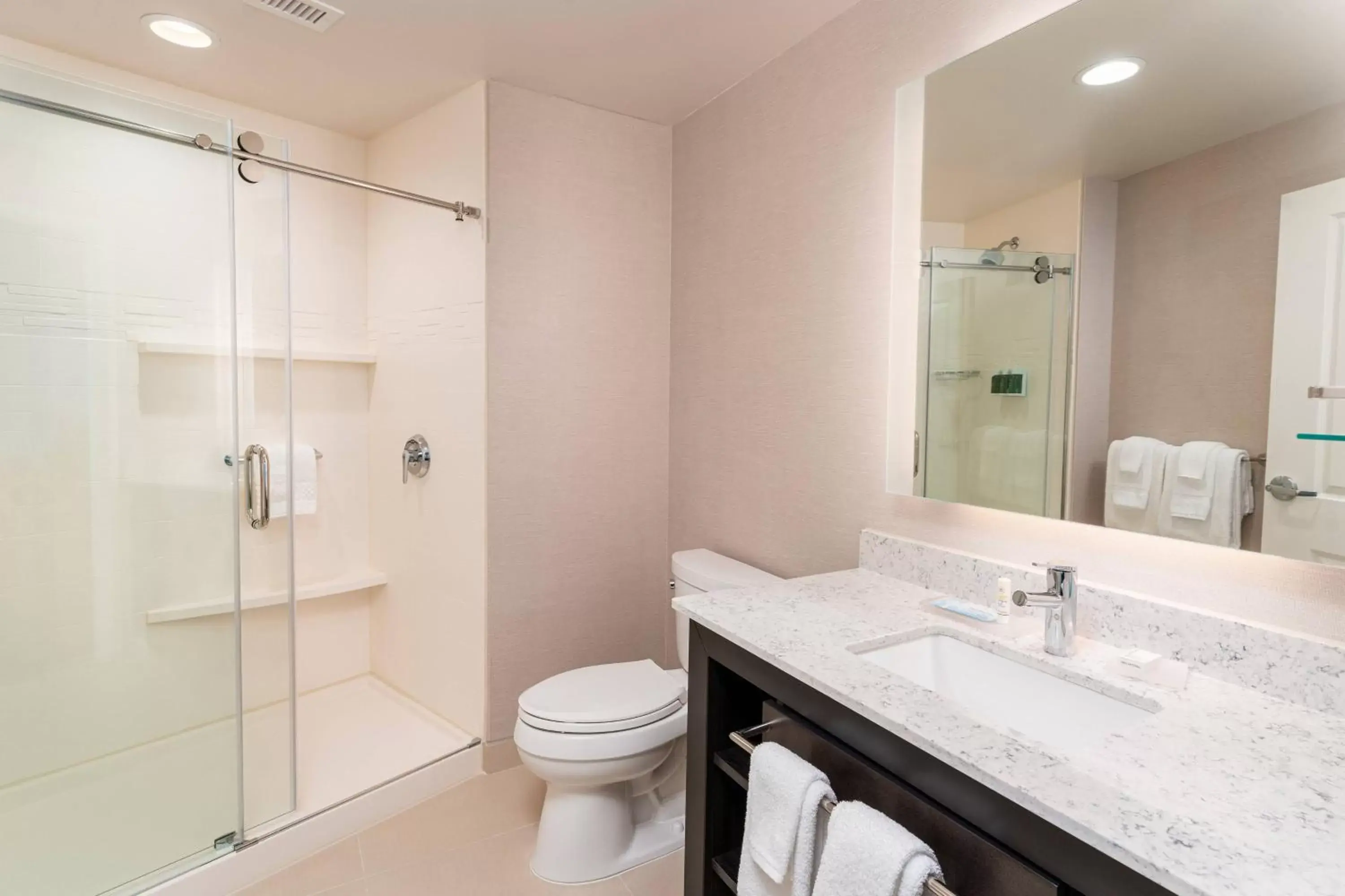 Bathroom in Residence Inn by Marriott Grand Rapids Downtown