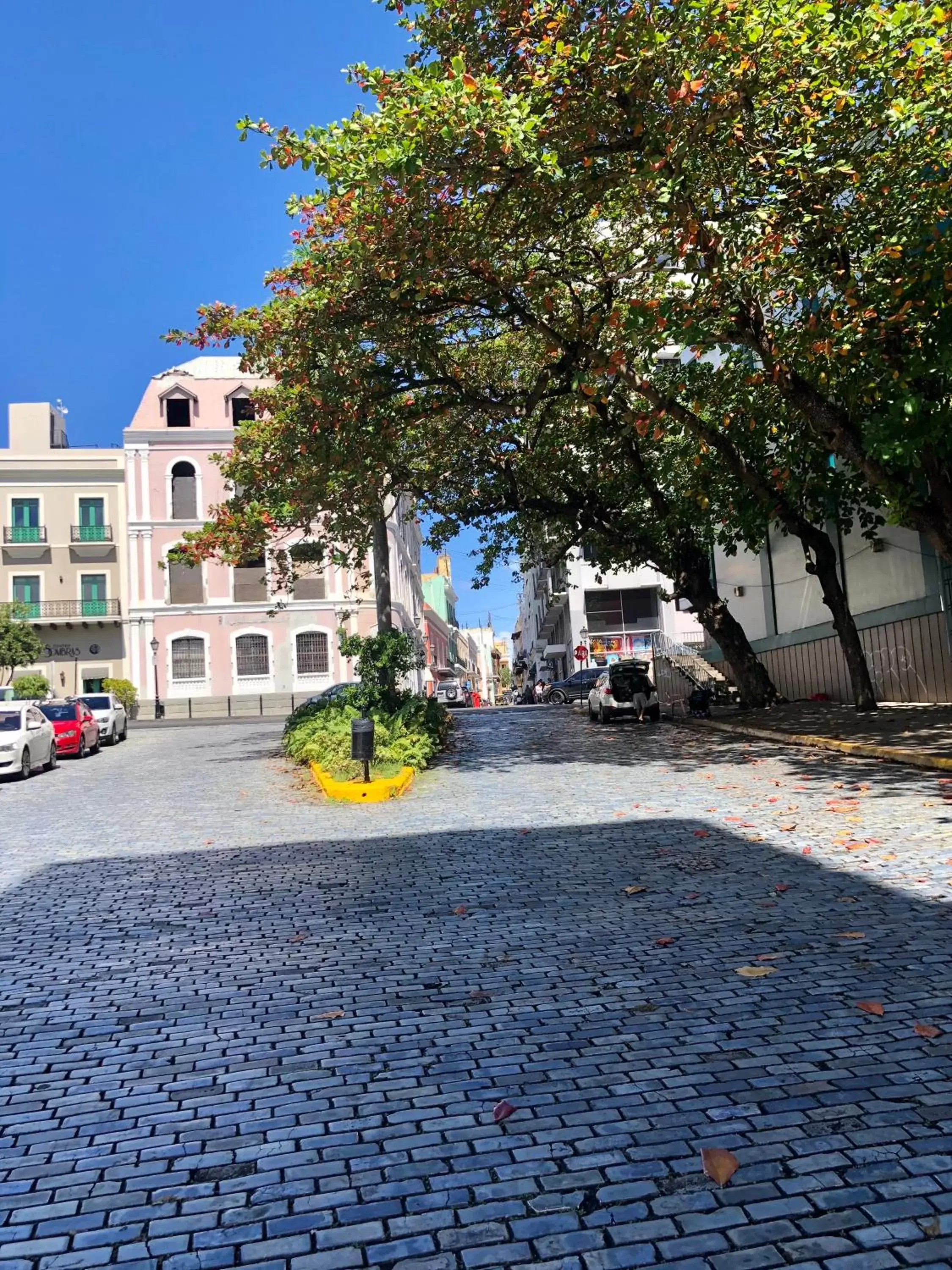 Neighbourhood, Property Building in Navona Studios