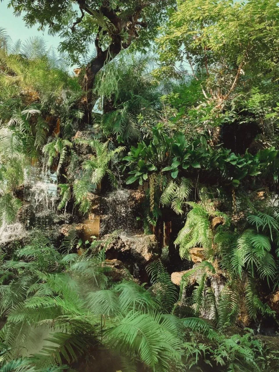 Sukruethai Hotel Chiang Mai - โรงแรมสุขฤทัย เชียงใหม่