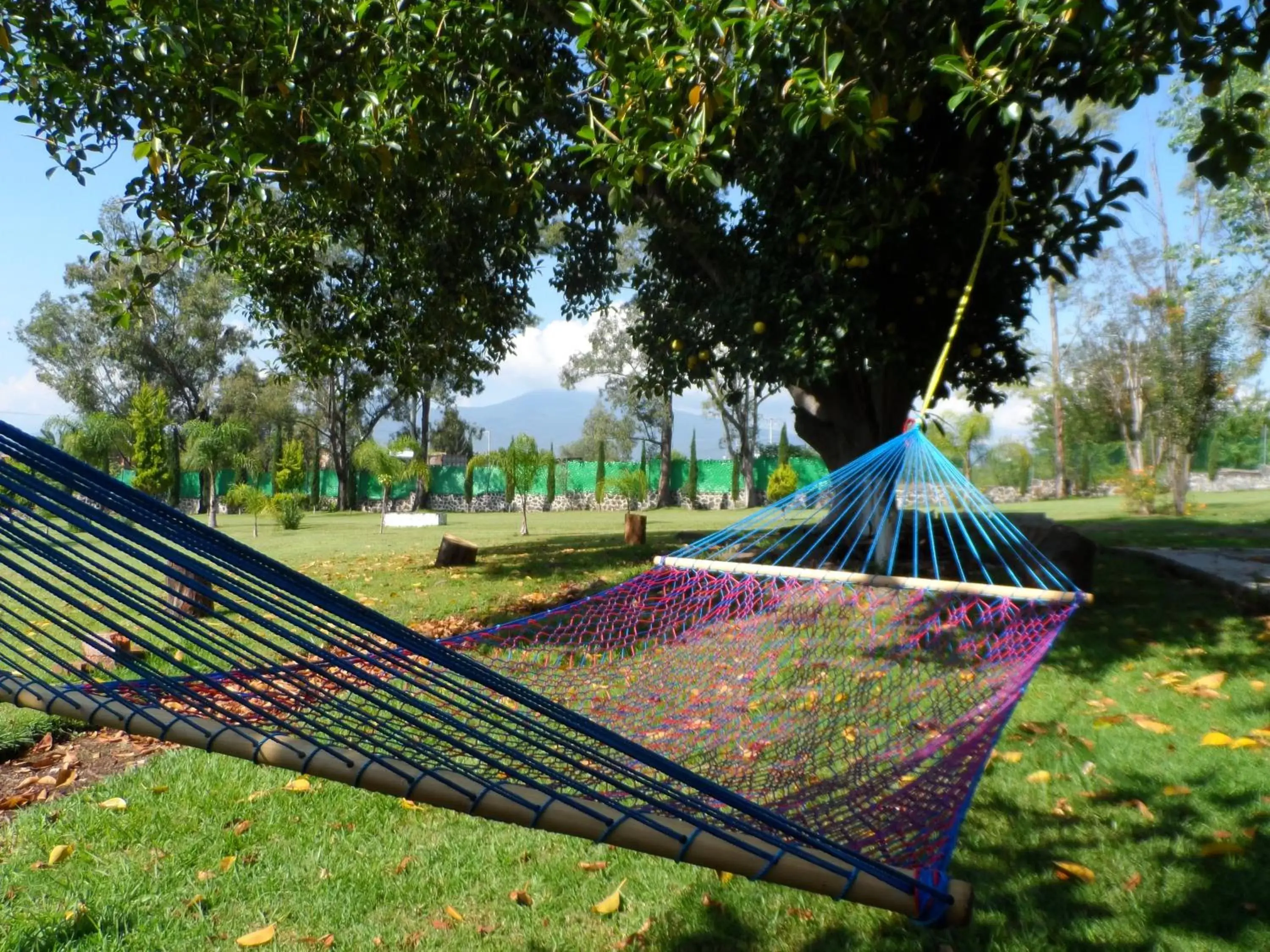 Garden in Hotel Hacienda Montesinos