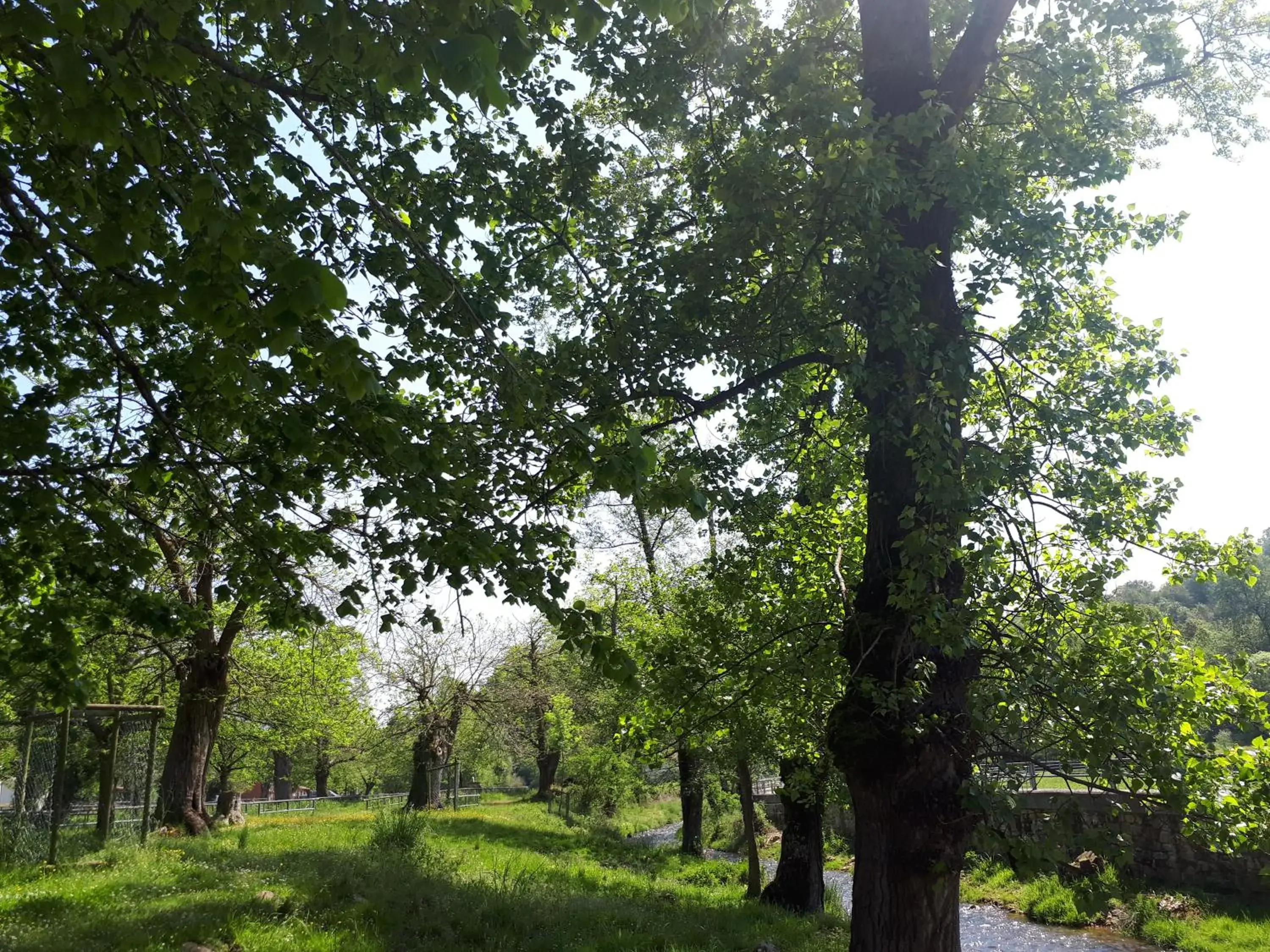 Garden in Hotel Rural Entremontes