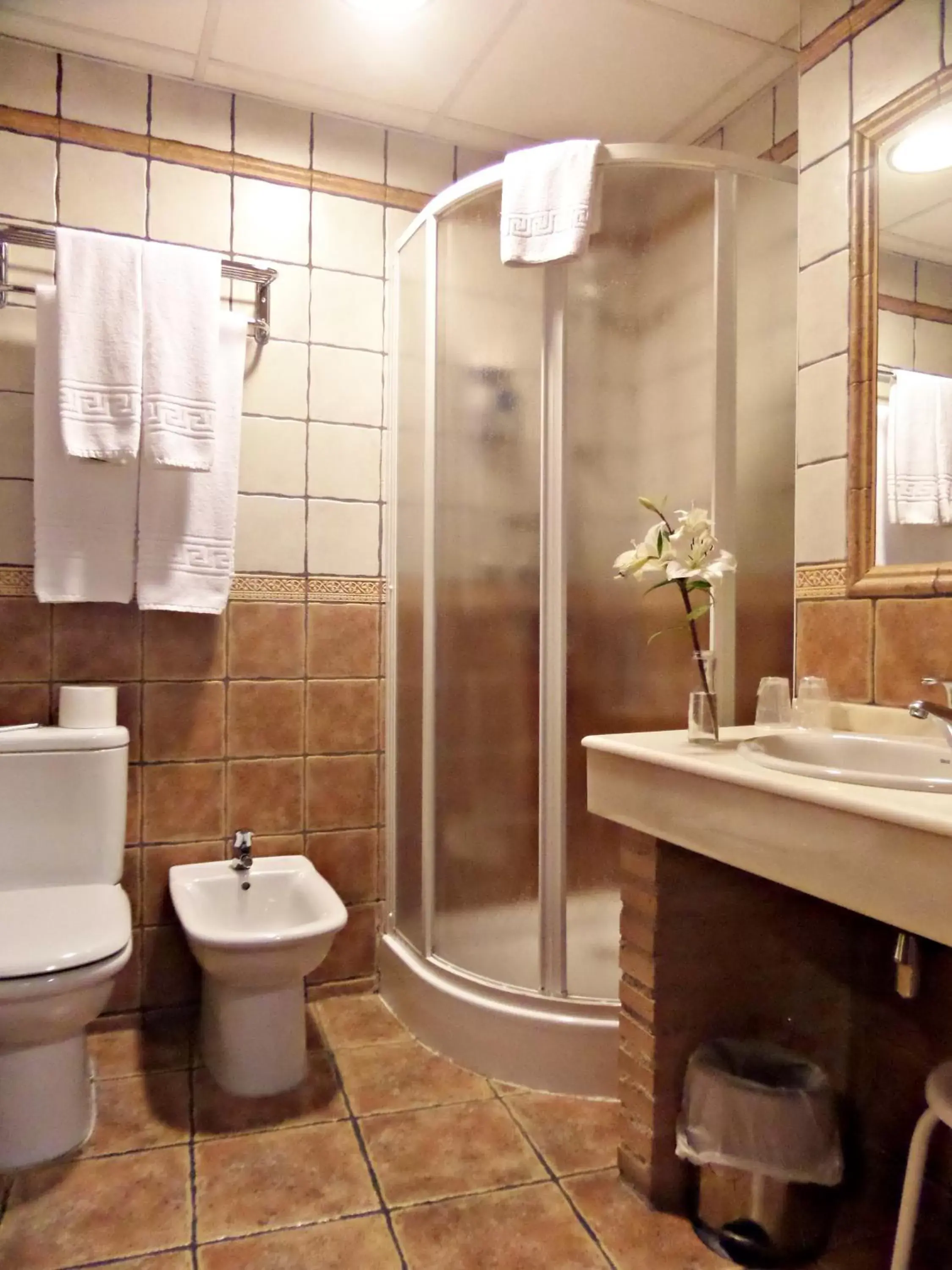 Decorative detail, Bathroom in Hotel Medina de Toledo