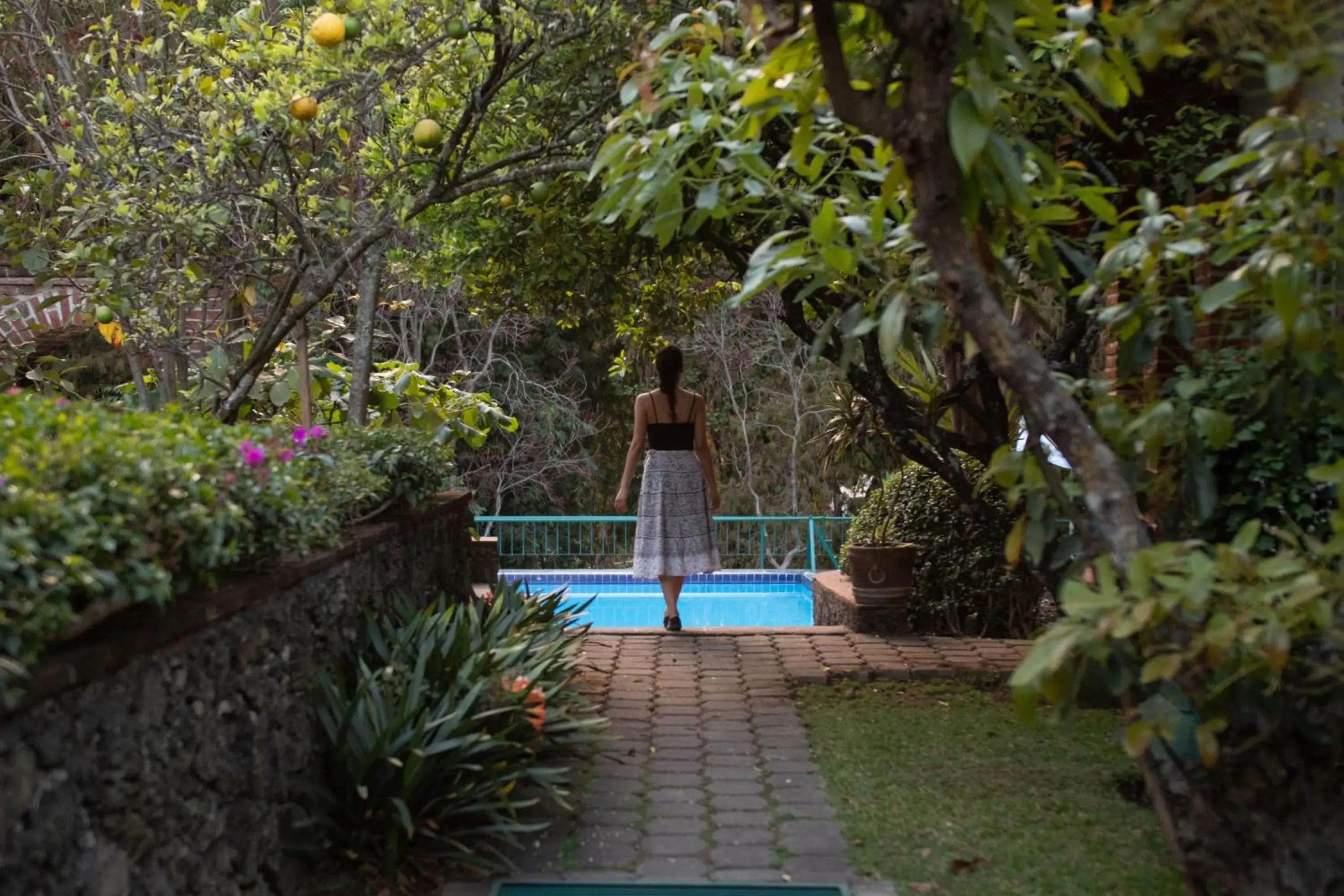 Garden, Swimming Pool in Hotel La Posada del Valle