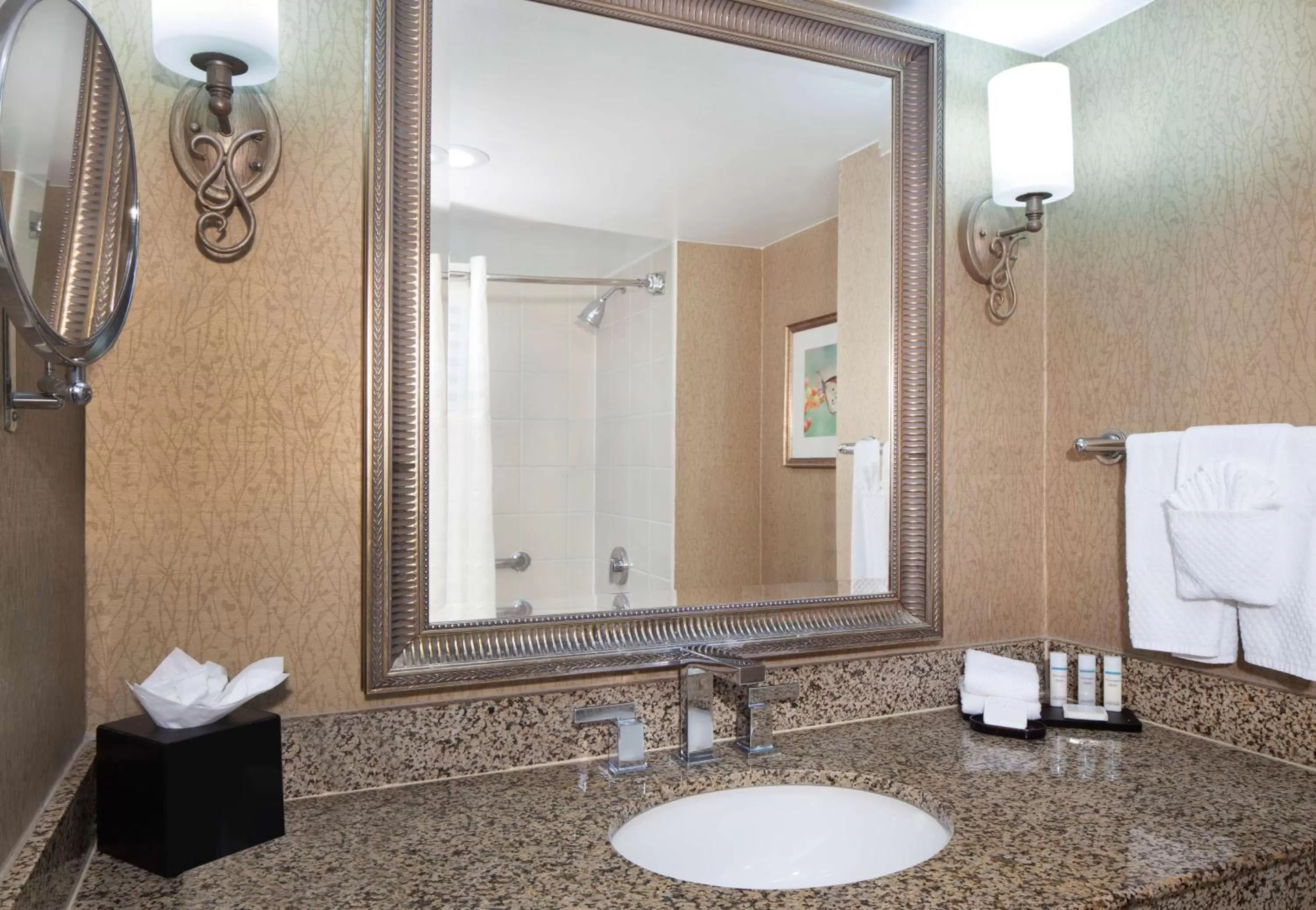 Two-Room King Suite with Roll-In Shower - Mobility Access in Embassy Suites by Hilton Dallas Near the Galleria