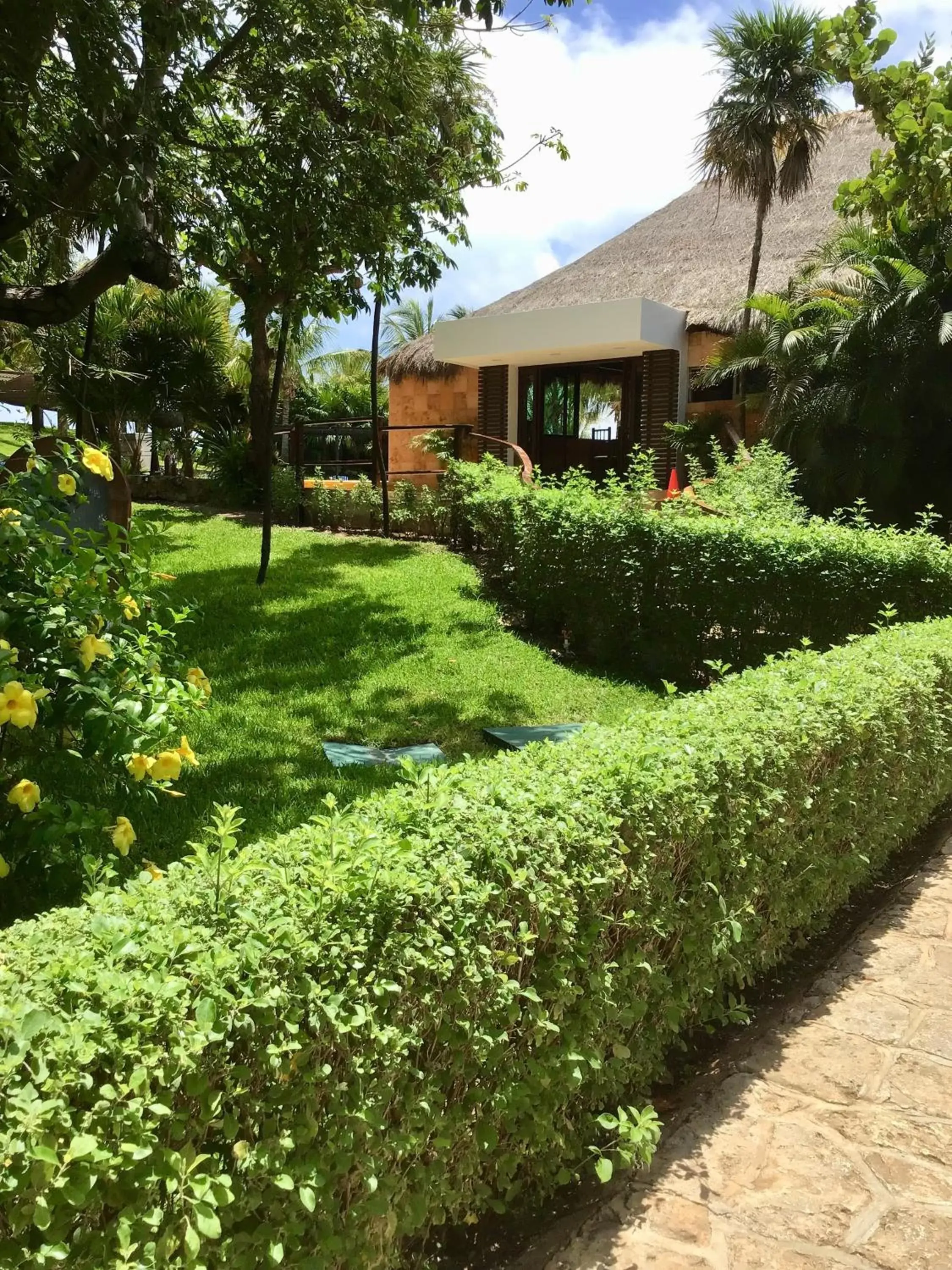 Property building, Garden in Hotel Dos Playas Faranda Cancún