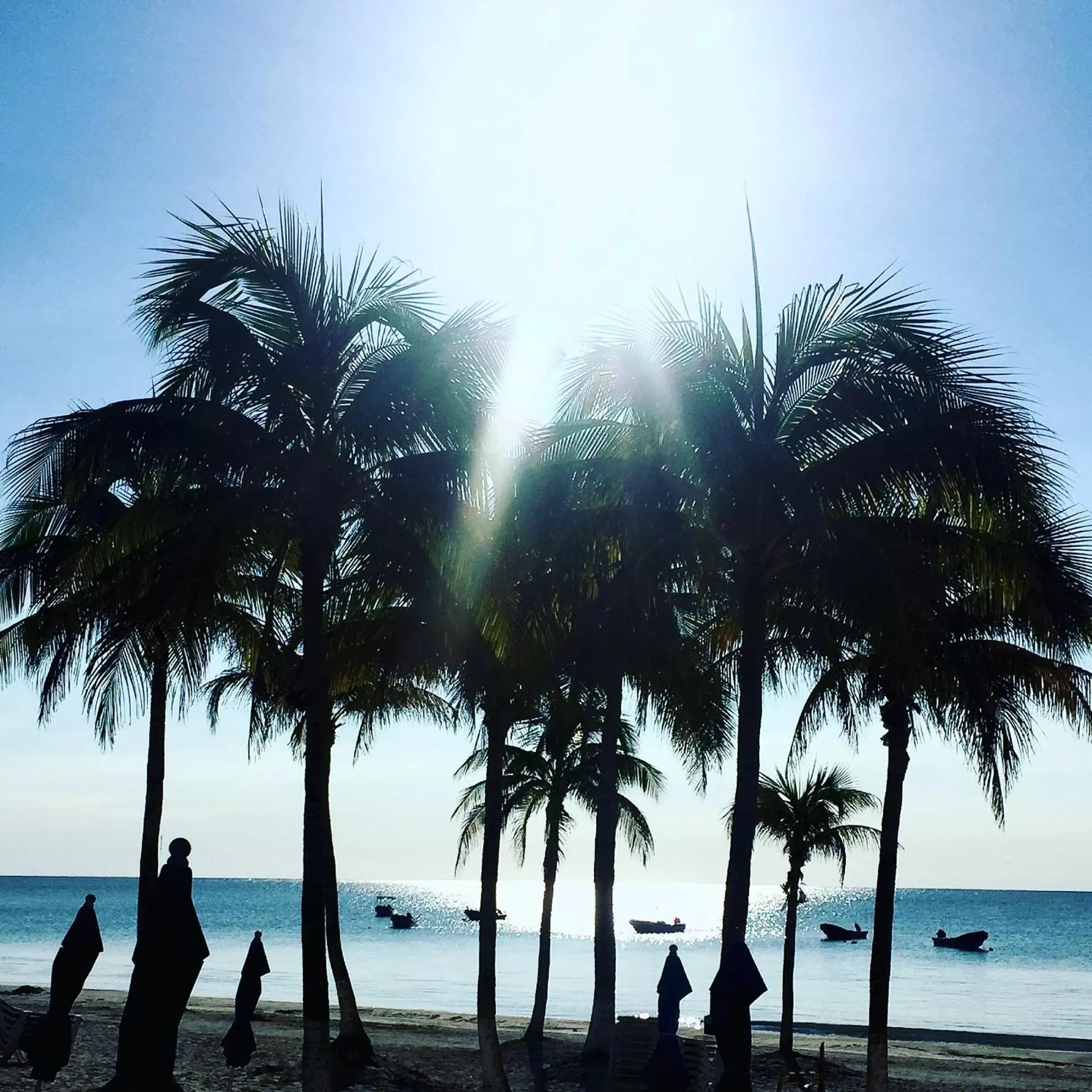 Natural landscape, Beach in El Paraiso Hotel Tulum