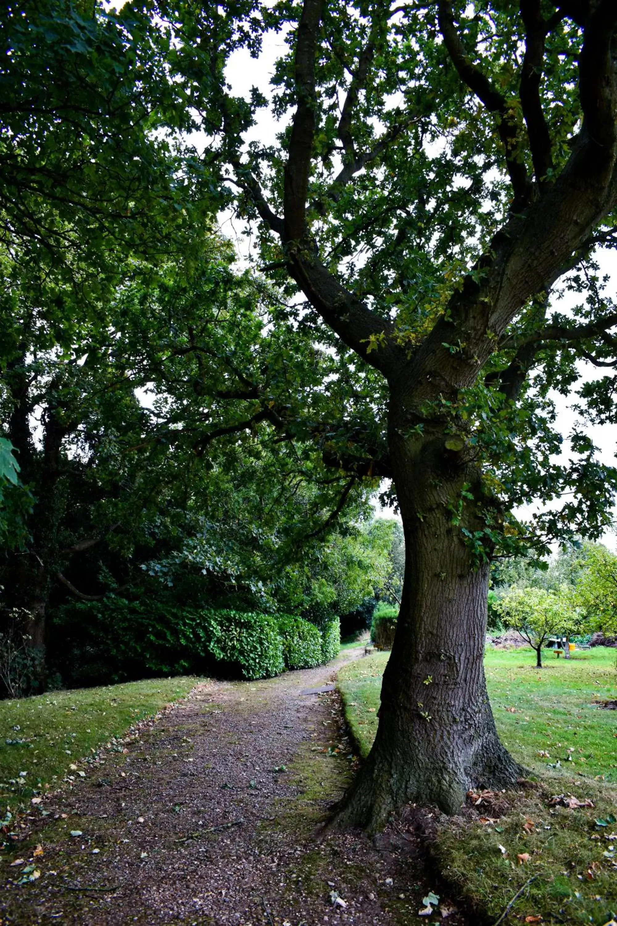 Garden in Dovecliff Hall Hotel