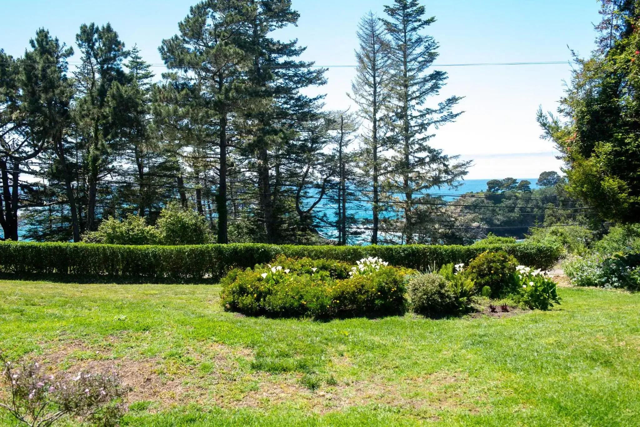 View (from property/room), Garden in Inn at Buckhorn Cove