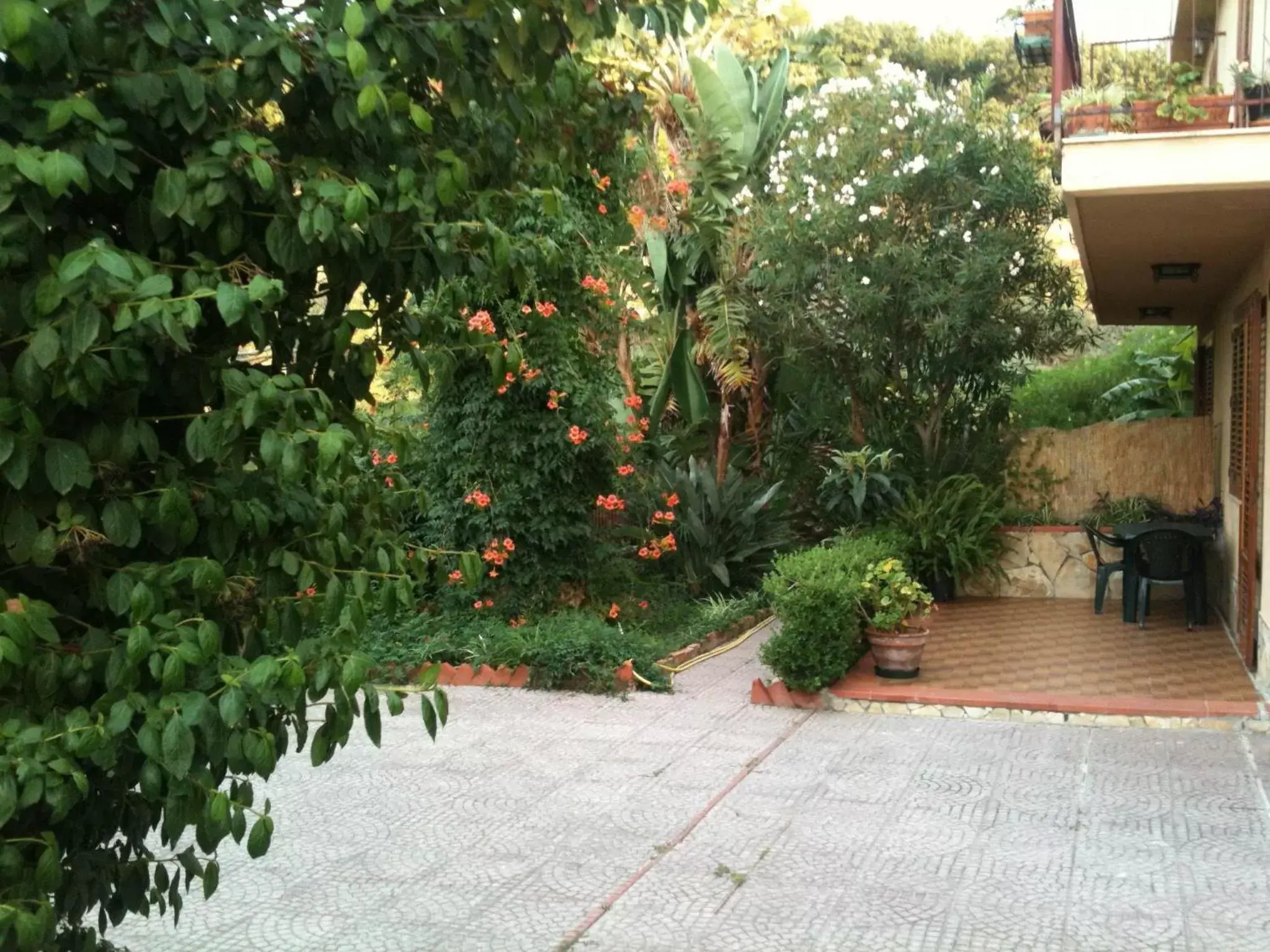 Garden in Stanza in Villa con giardino vista mare