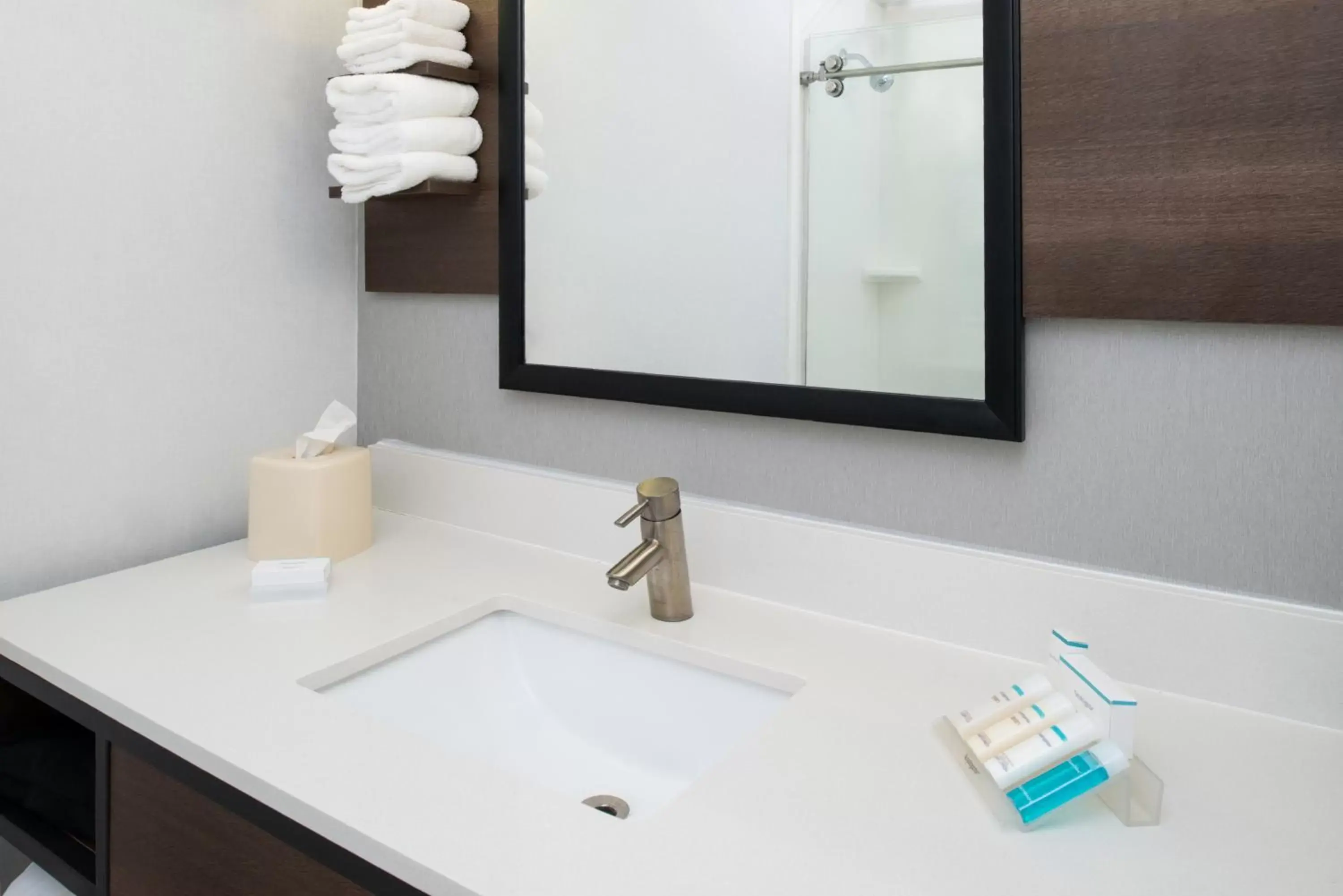 Bathroom in Hilton Garden Inn Baton Rouge Airport