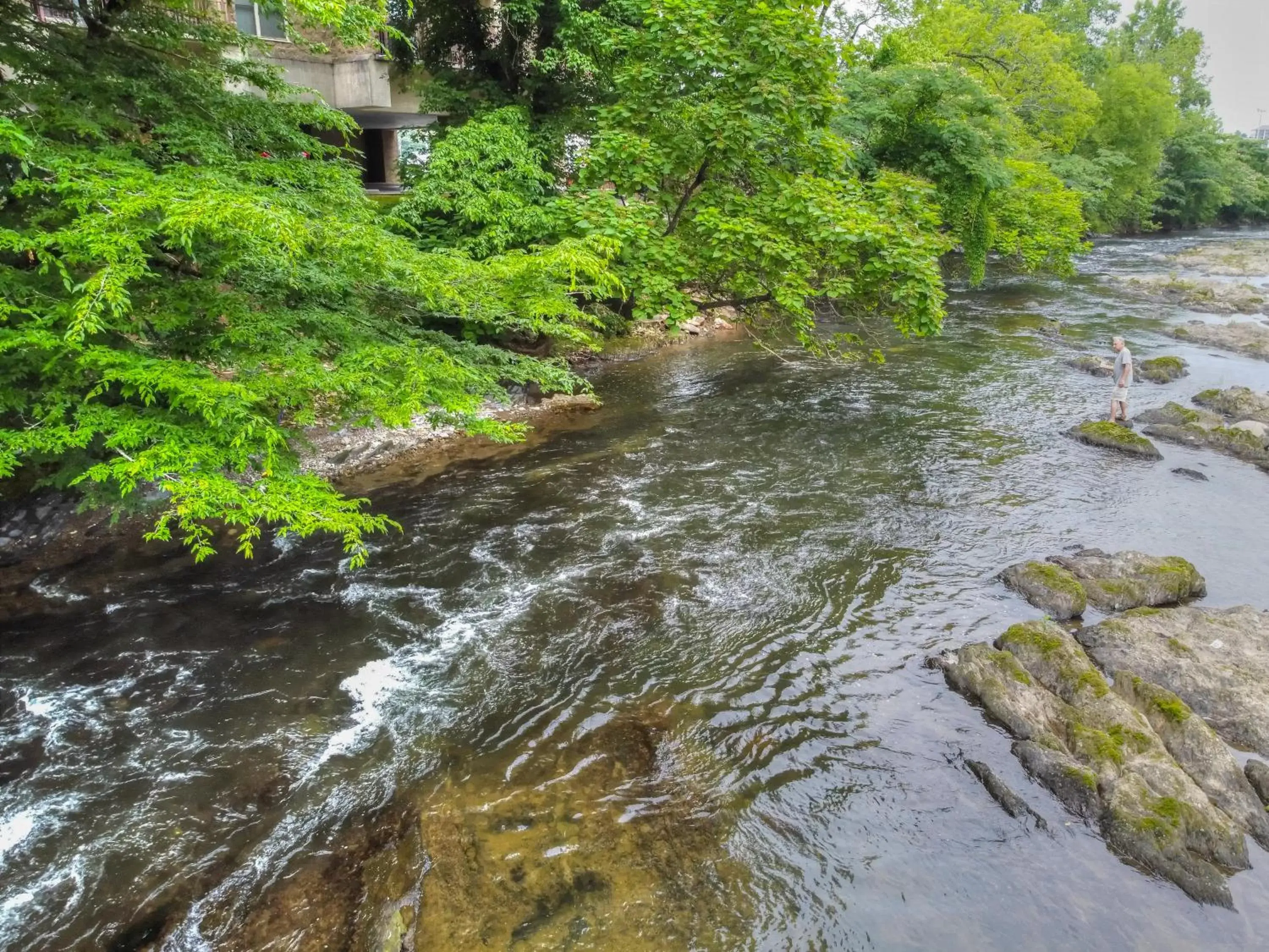 Natural Landscape in RiverStone Resort & Spa