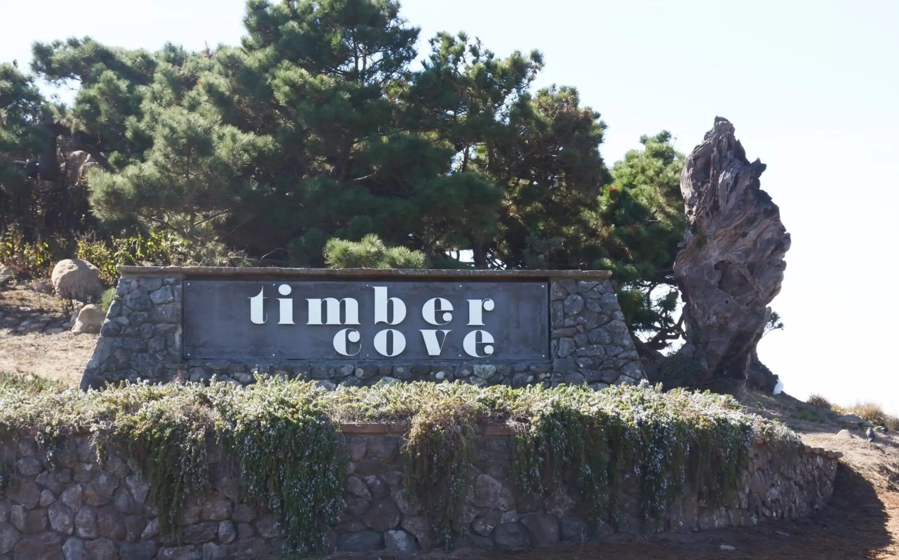 Day, Logo/Certificate/Sign/Award in Timber Cove Resort