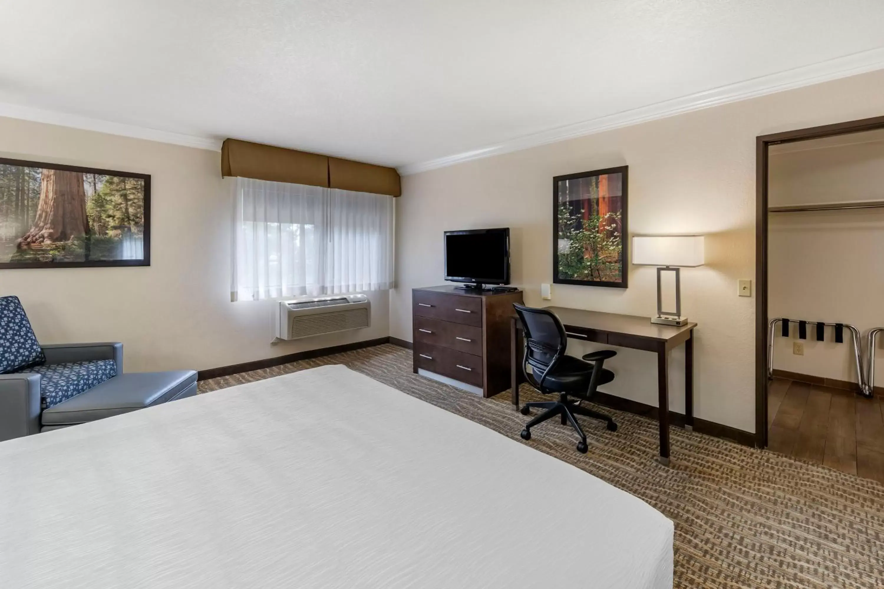 Bed, TV/Entertainment Center in Best Western Town & Country Lodge