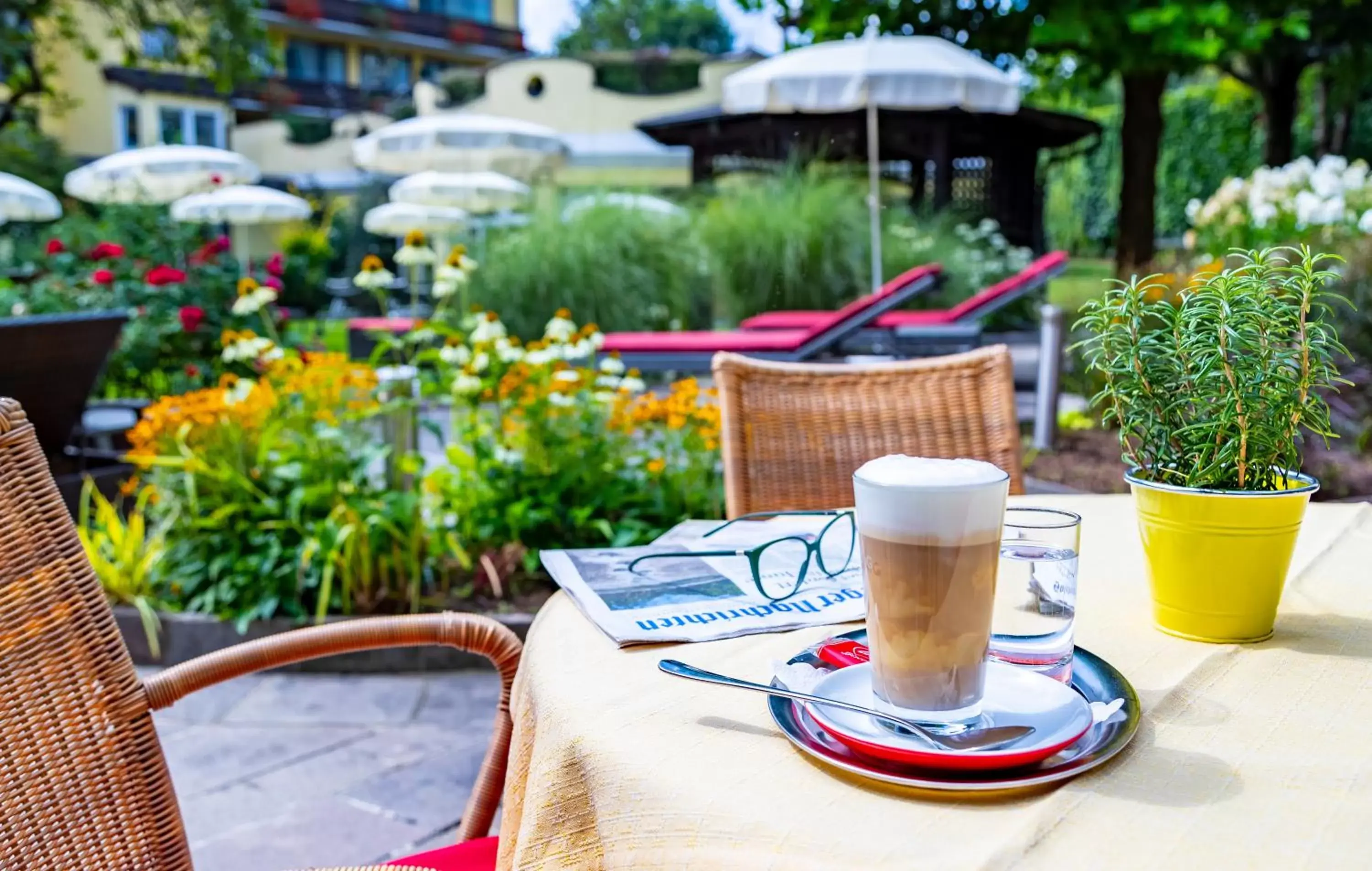 Garden in Hotel Latini